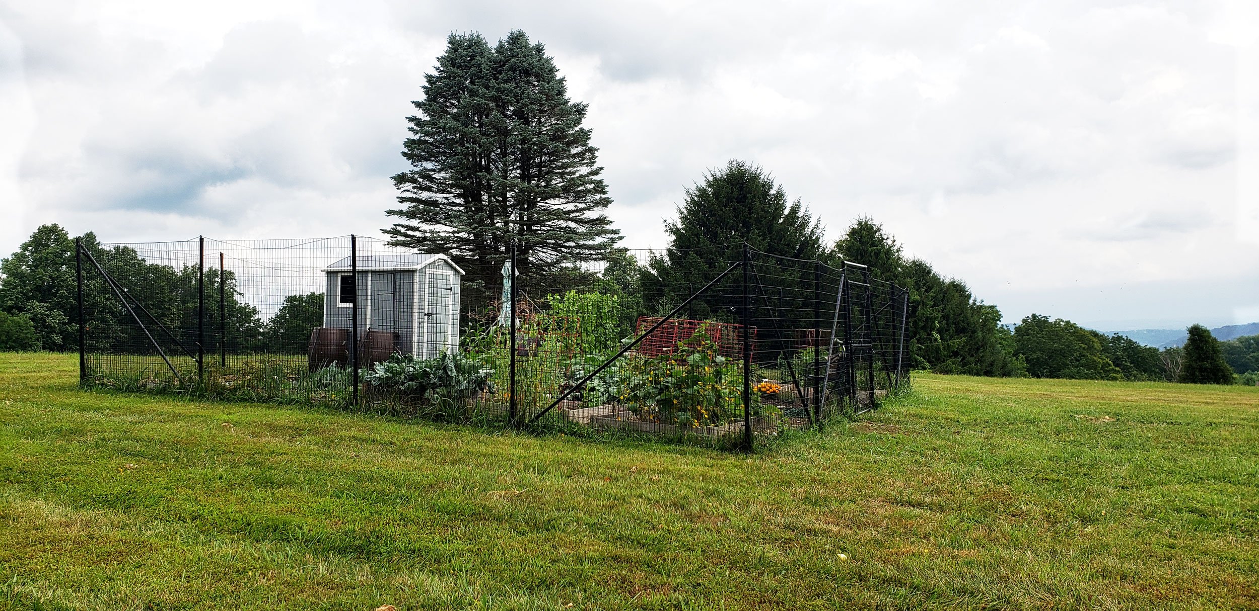 Ten Deer Fence Solutions for Gardens–deer fence for garden — The