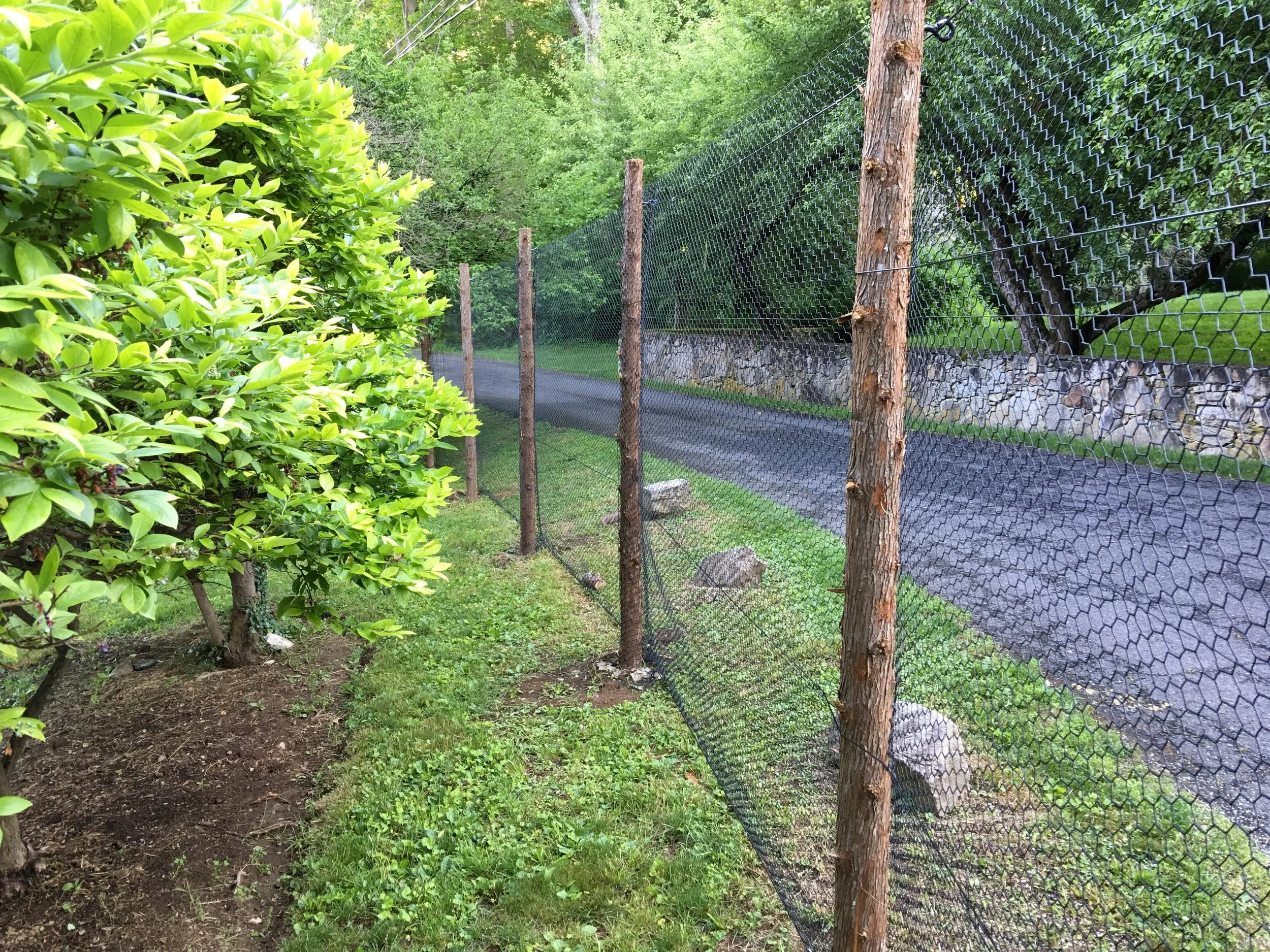 deer-fence-metal-mesh-cedar-posts