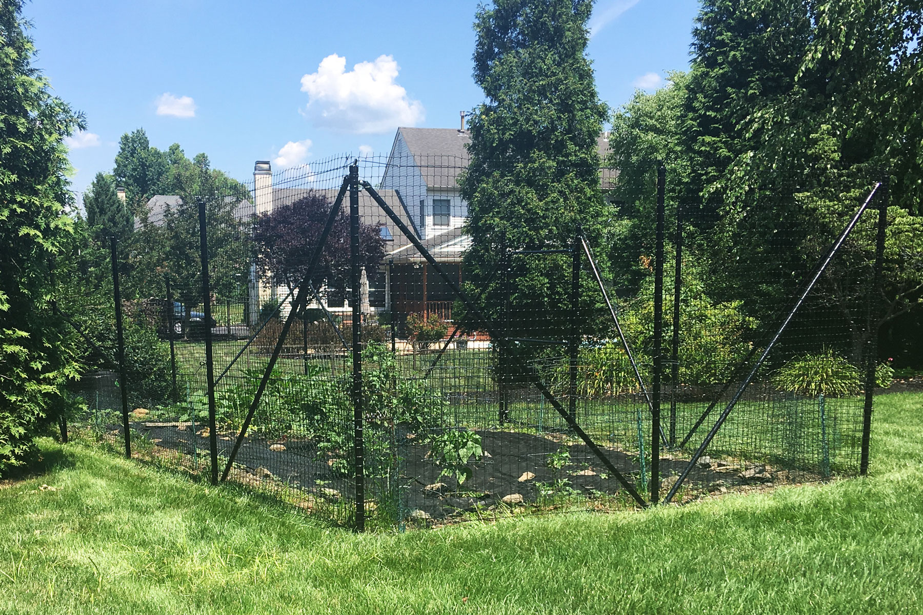 small garden fence with corner bracing