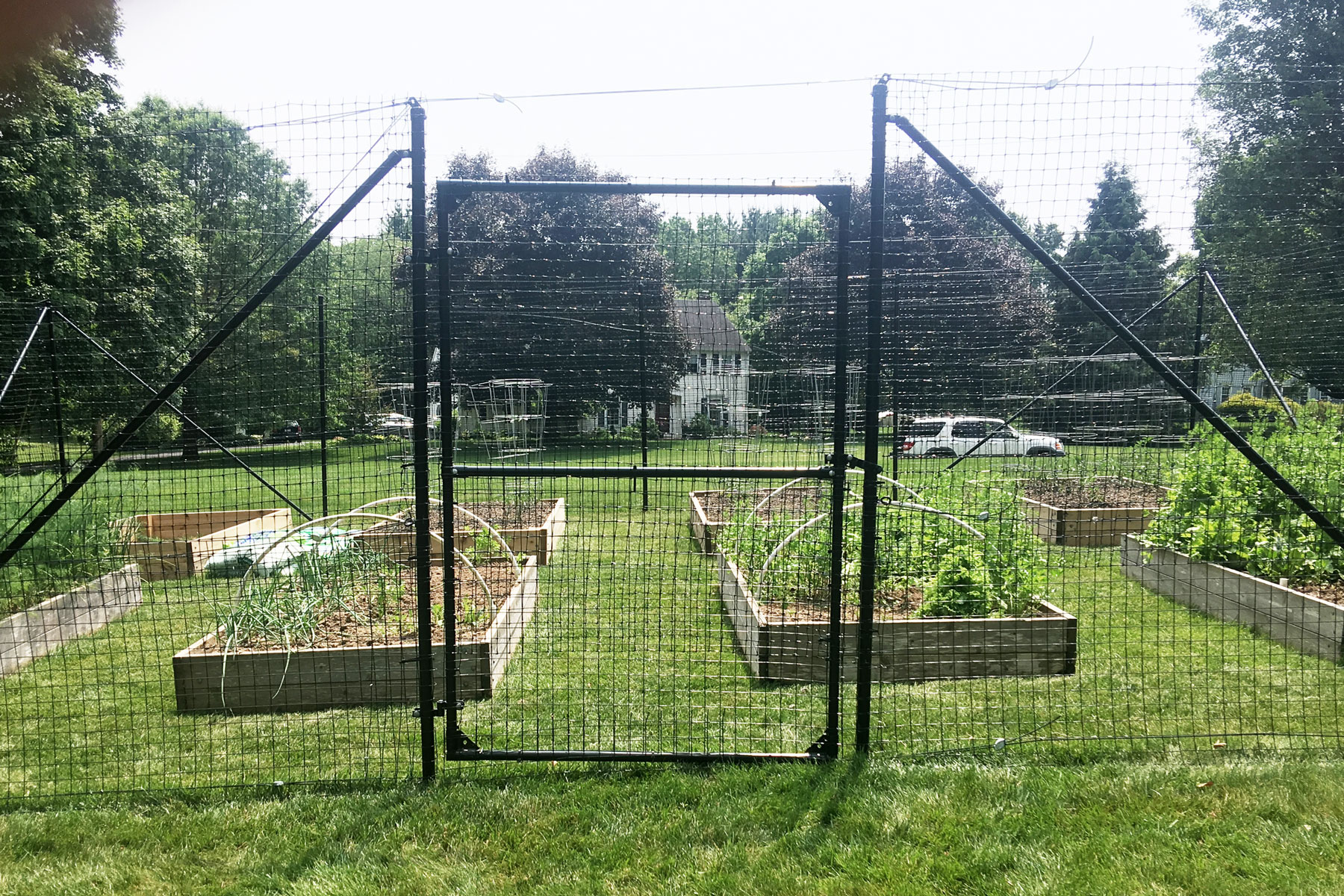 access gate to garden deer fence