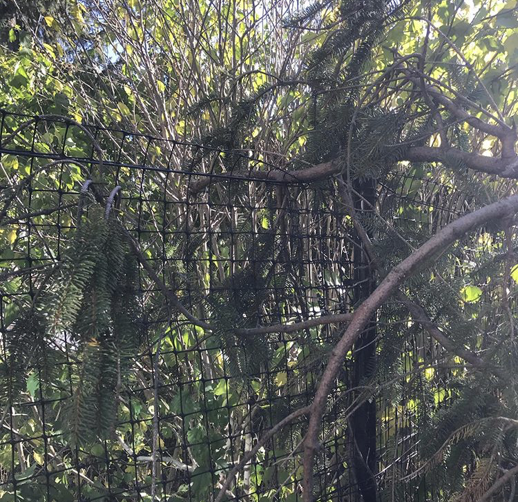 Five Simple Ways to Prepare Your Fence for Winter