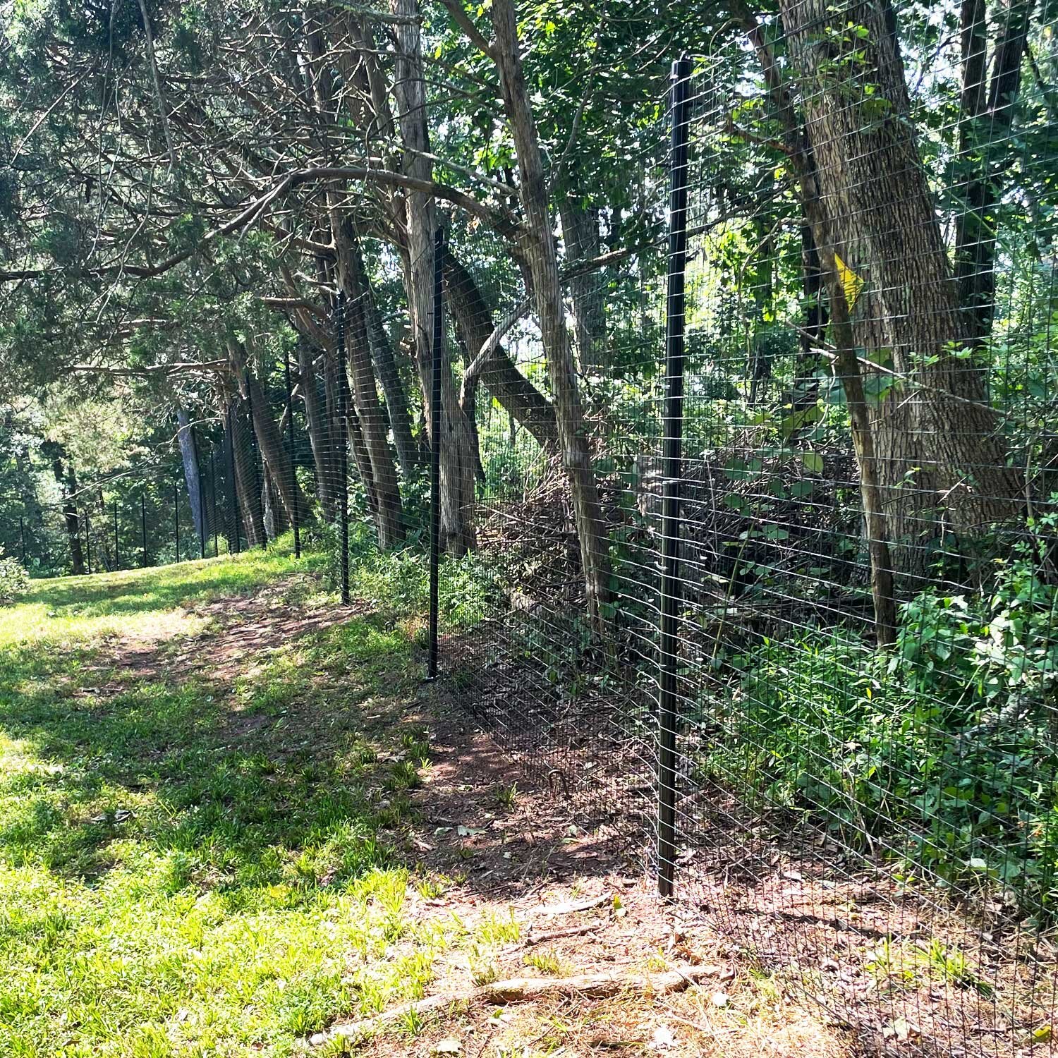 6 ft x 100 ft Graduated 16 gauge Black PVC coated Welded Wire metal ...