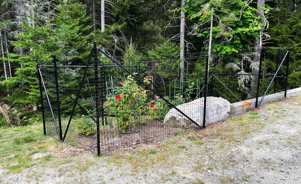 Ten Deer Fence Solutions for Gardens–deer fence for garden — The Benner ...