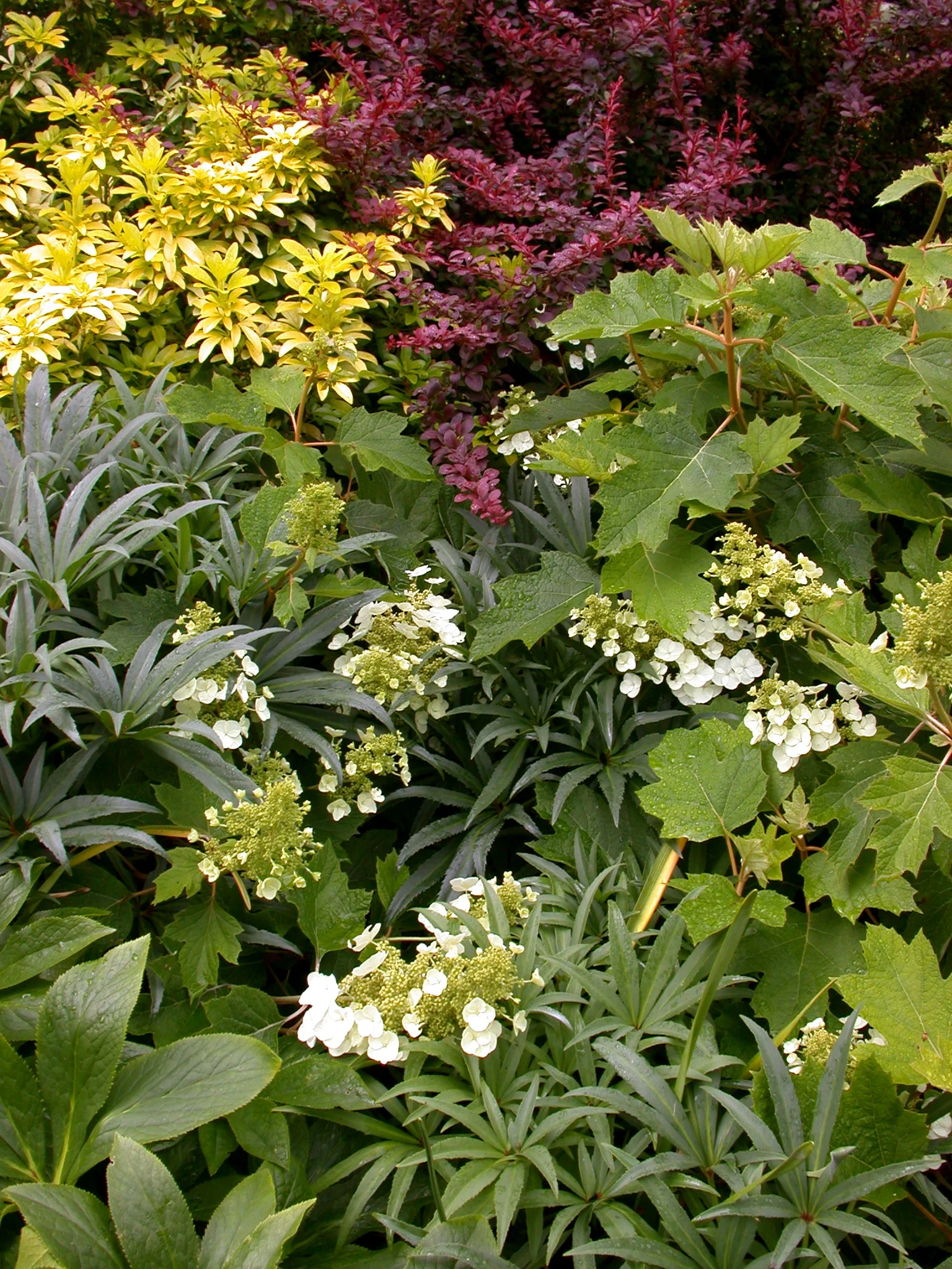 DSCN8387.JPG