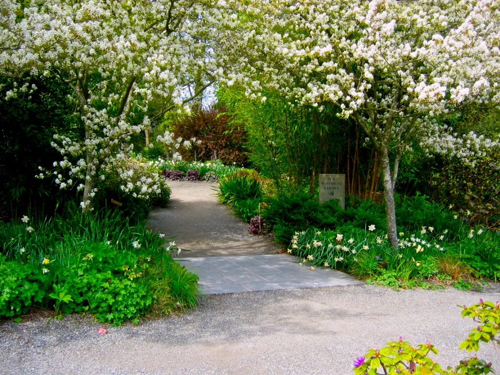 spring 07 031.jpg