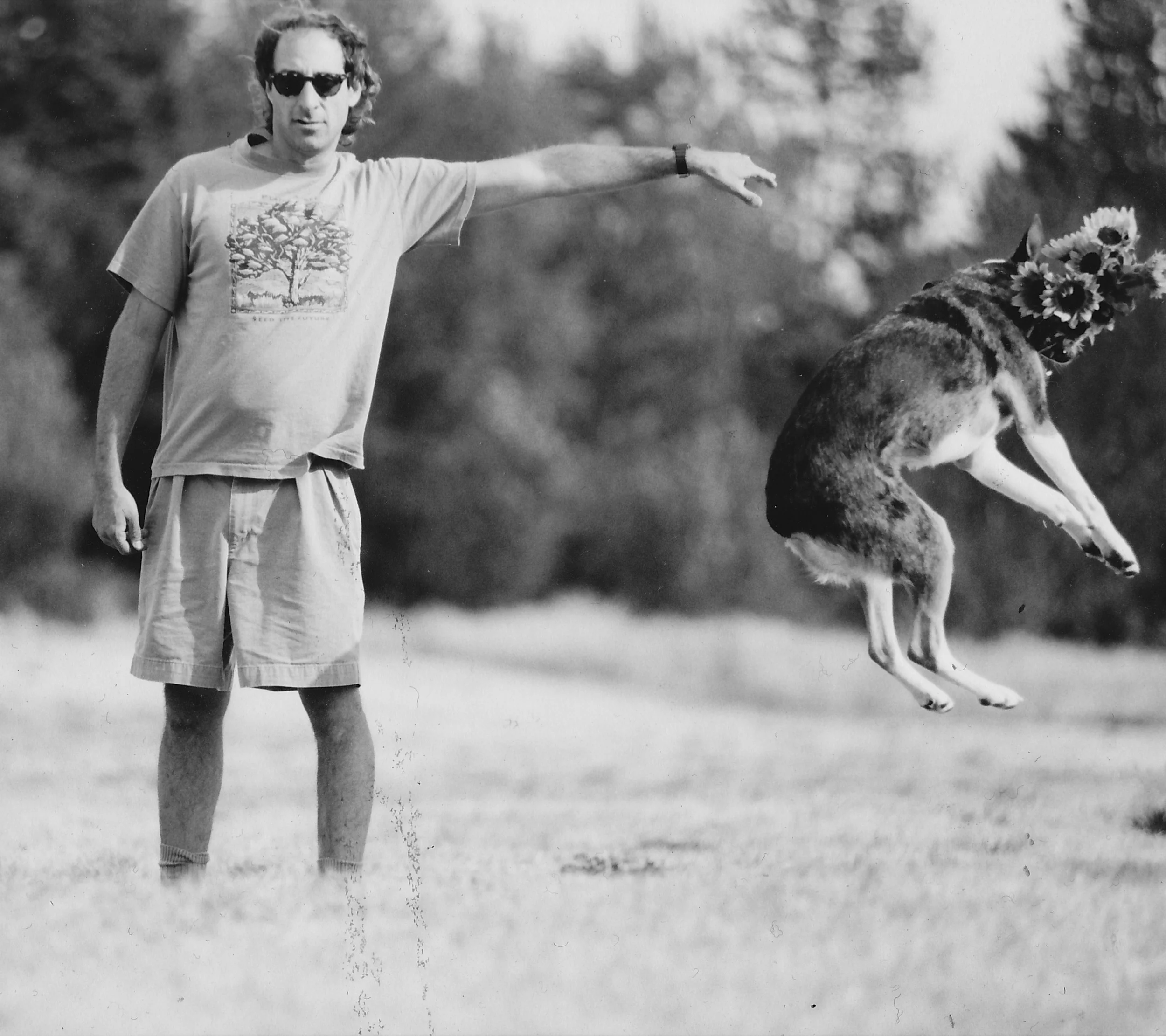 the Flying Dog, Daisy