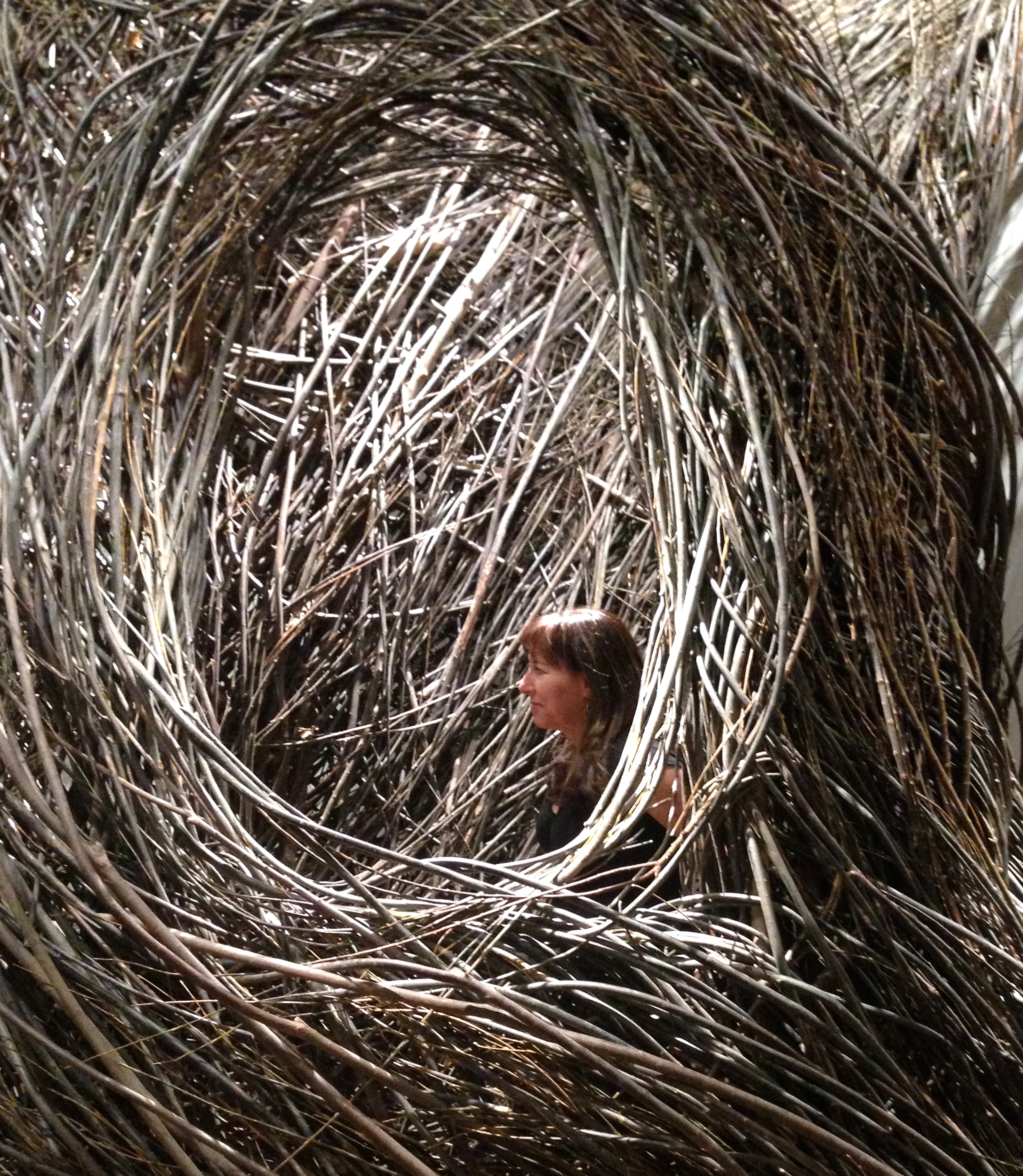 Jil nesting in a Patrick Doherty sculpture at the Renwick Gallery at the Smithsonian
