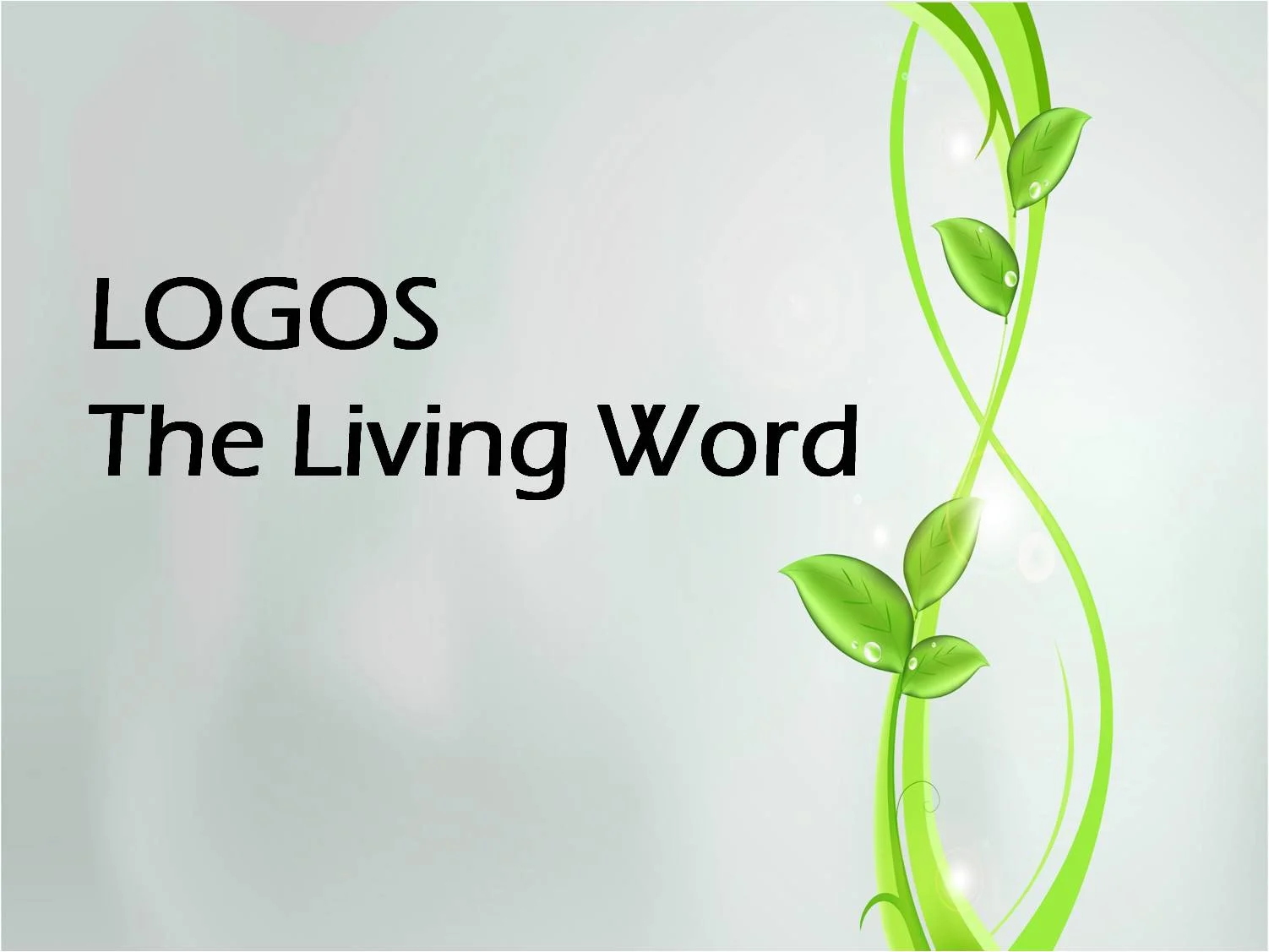 logos pic.jpg