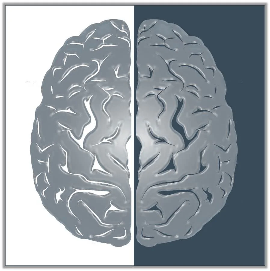 BRAINCLIPART.jpg