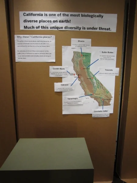 Testing the Introduction area to the Gallery of Natural Sciences