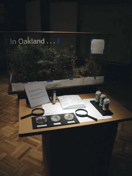 Sensory experiences are tested around a habitat case. Gallery of California Natural Sciences, Oakland Museum of California.