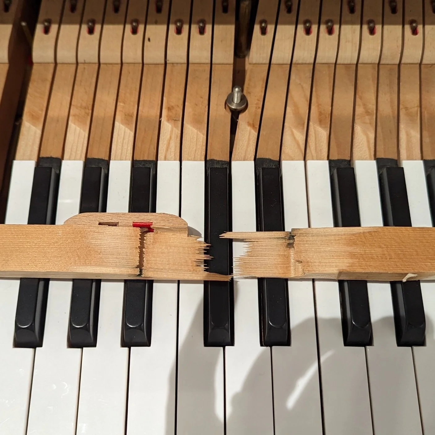 Piano Repair in Nashville, TN | Taylor Piano Service