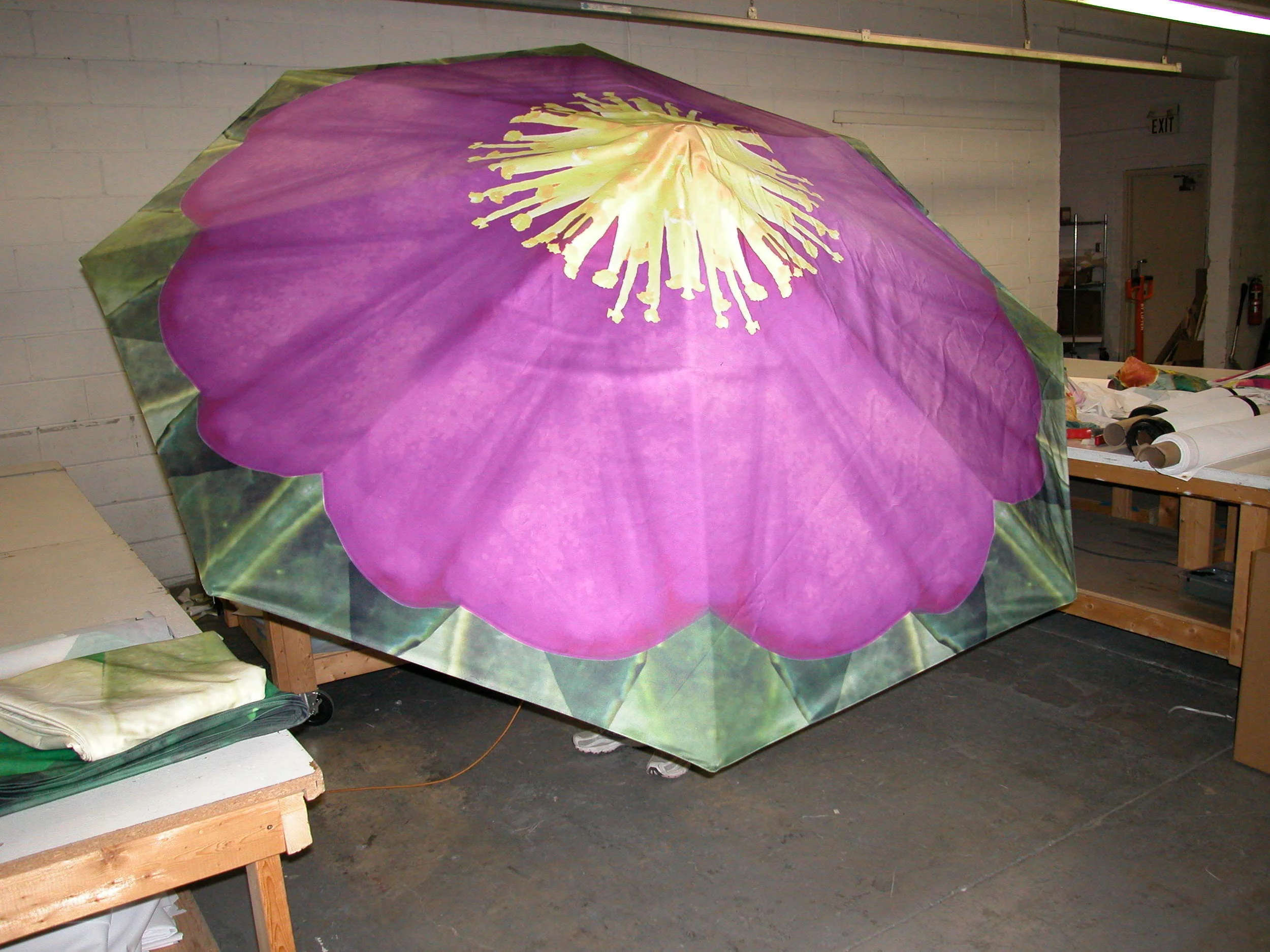 DSCN3961.JPG