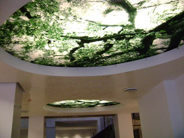 W Hotel 1.jpg