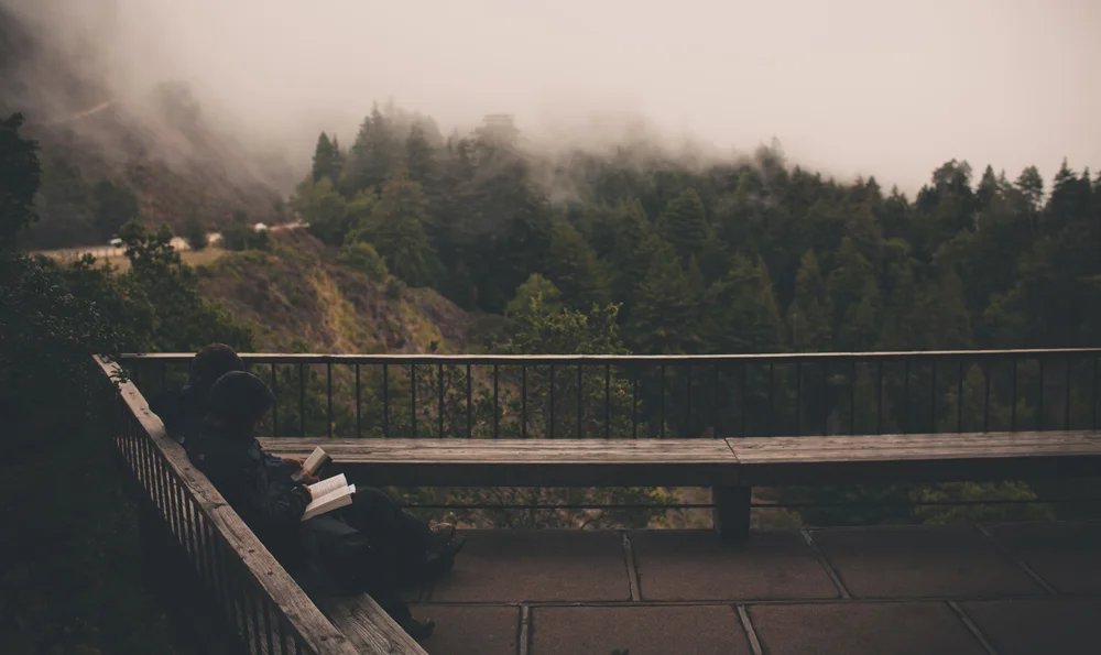 Did you say wait?!?!