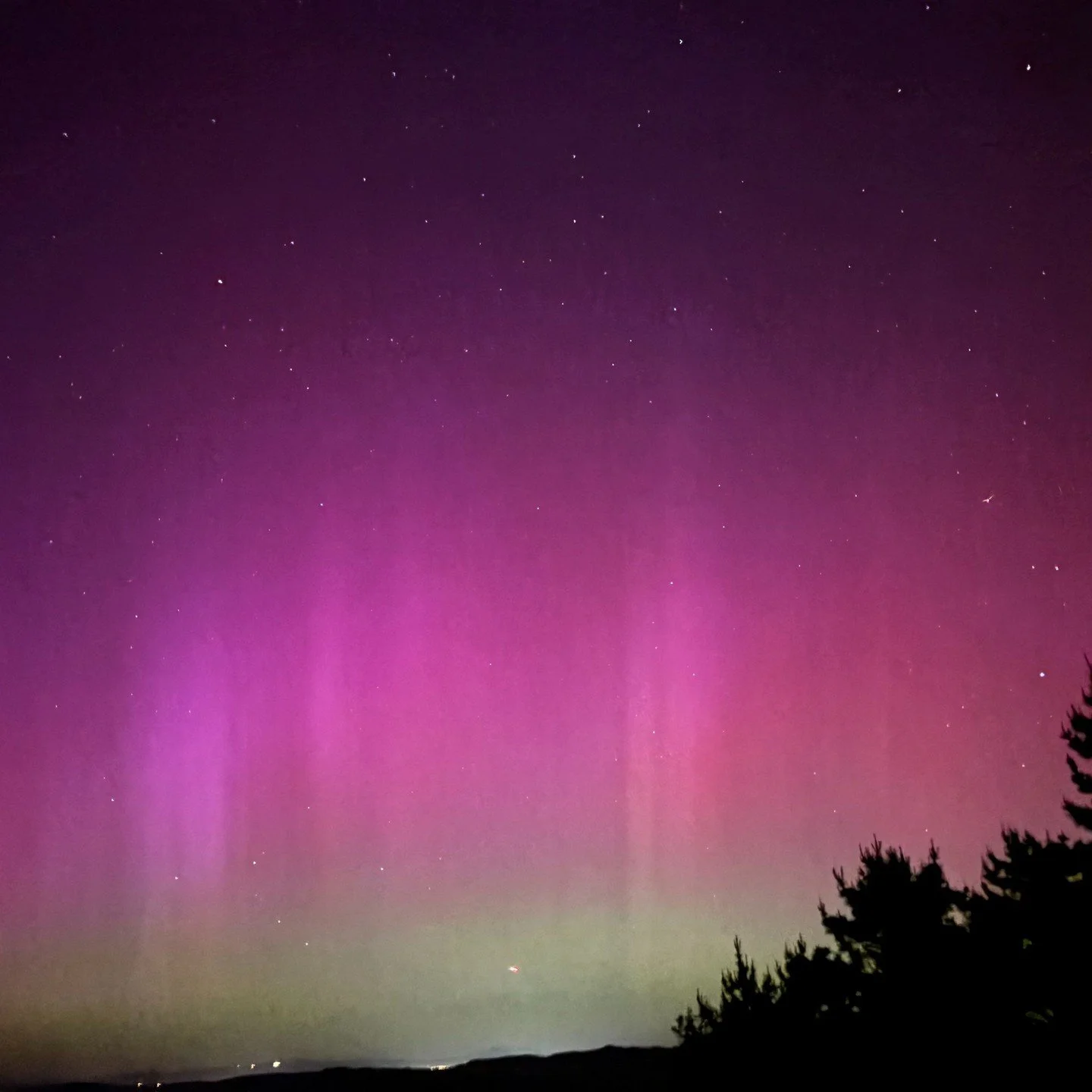 Was fortunate to catch the Aurora last night here in Inverness on the ridgetop. The iPhone enhances light so the colors and vivid shapes captured here were not visible to the naked eye.... you could see striations in the sky, billows of what looked l