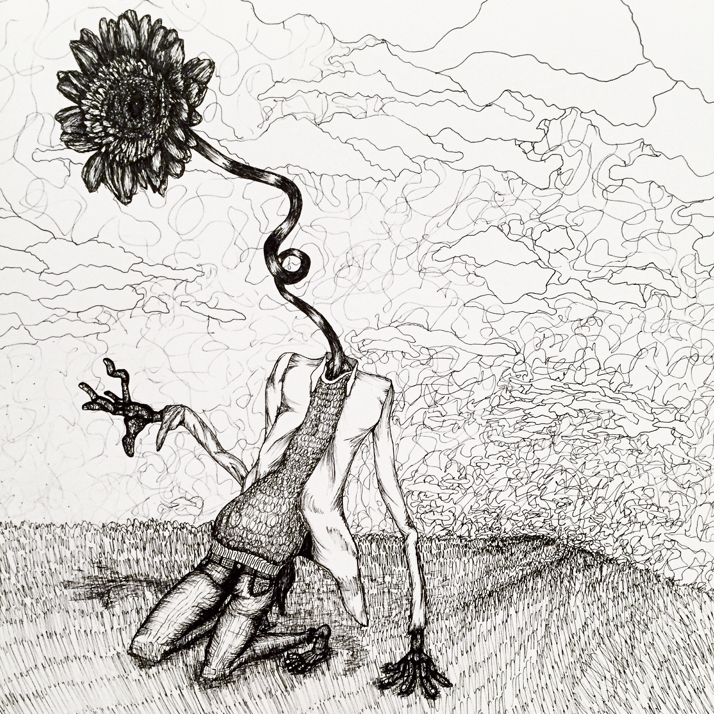 Solskens Sökaren.jpg