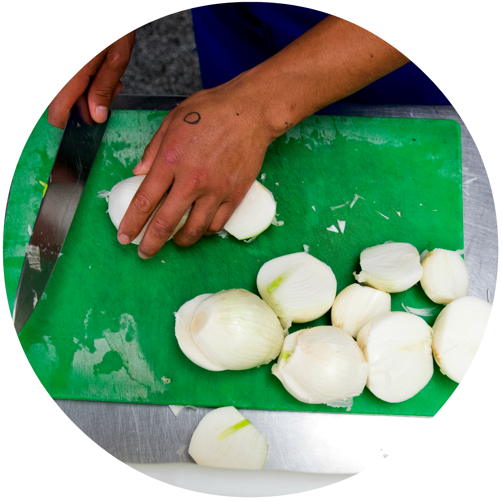 2 (onion).png