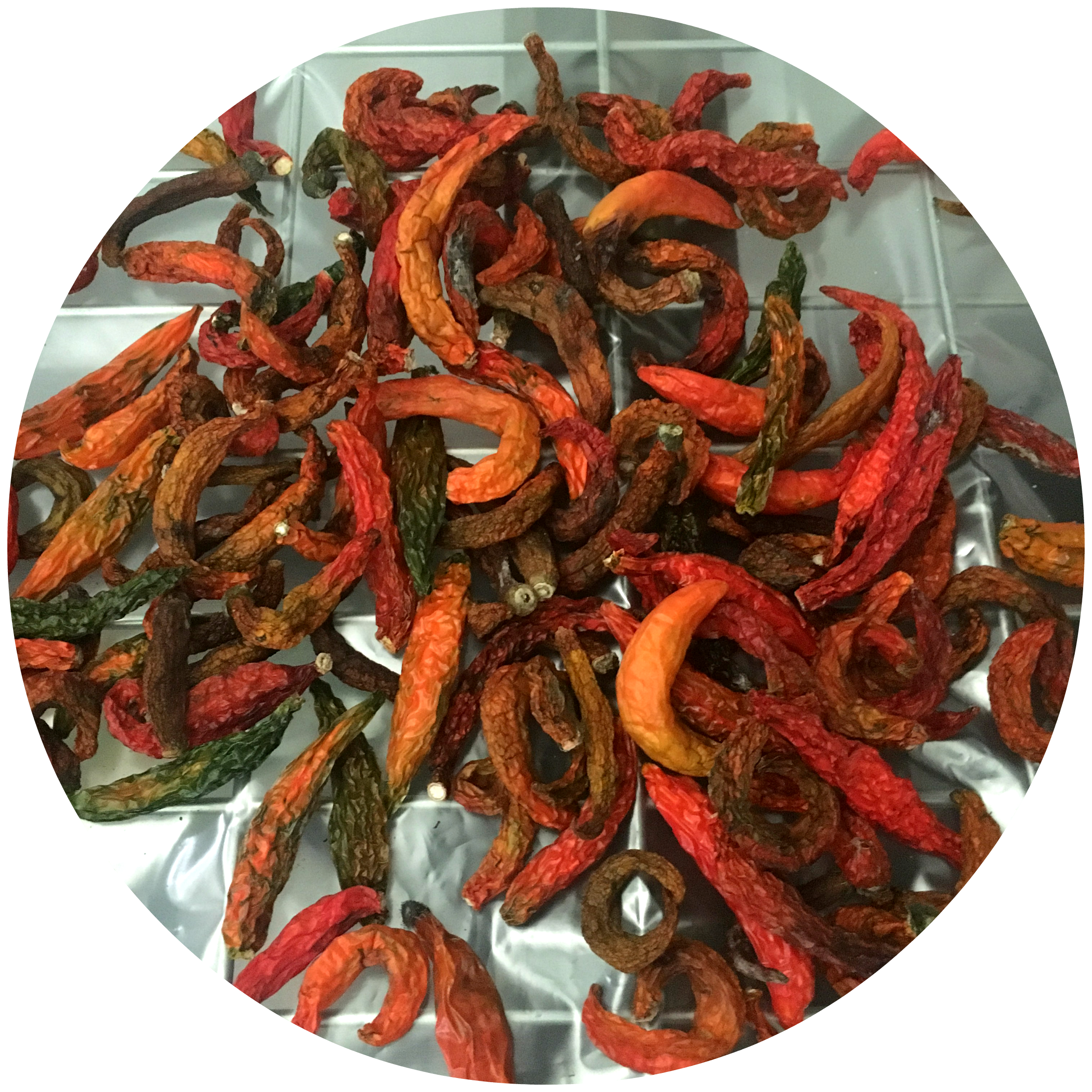3 (chiles).png