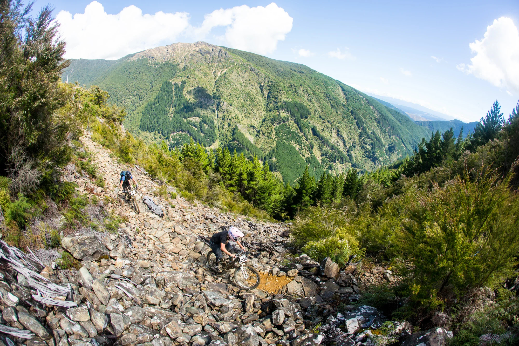 DME 2014-0333.jpg