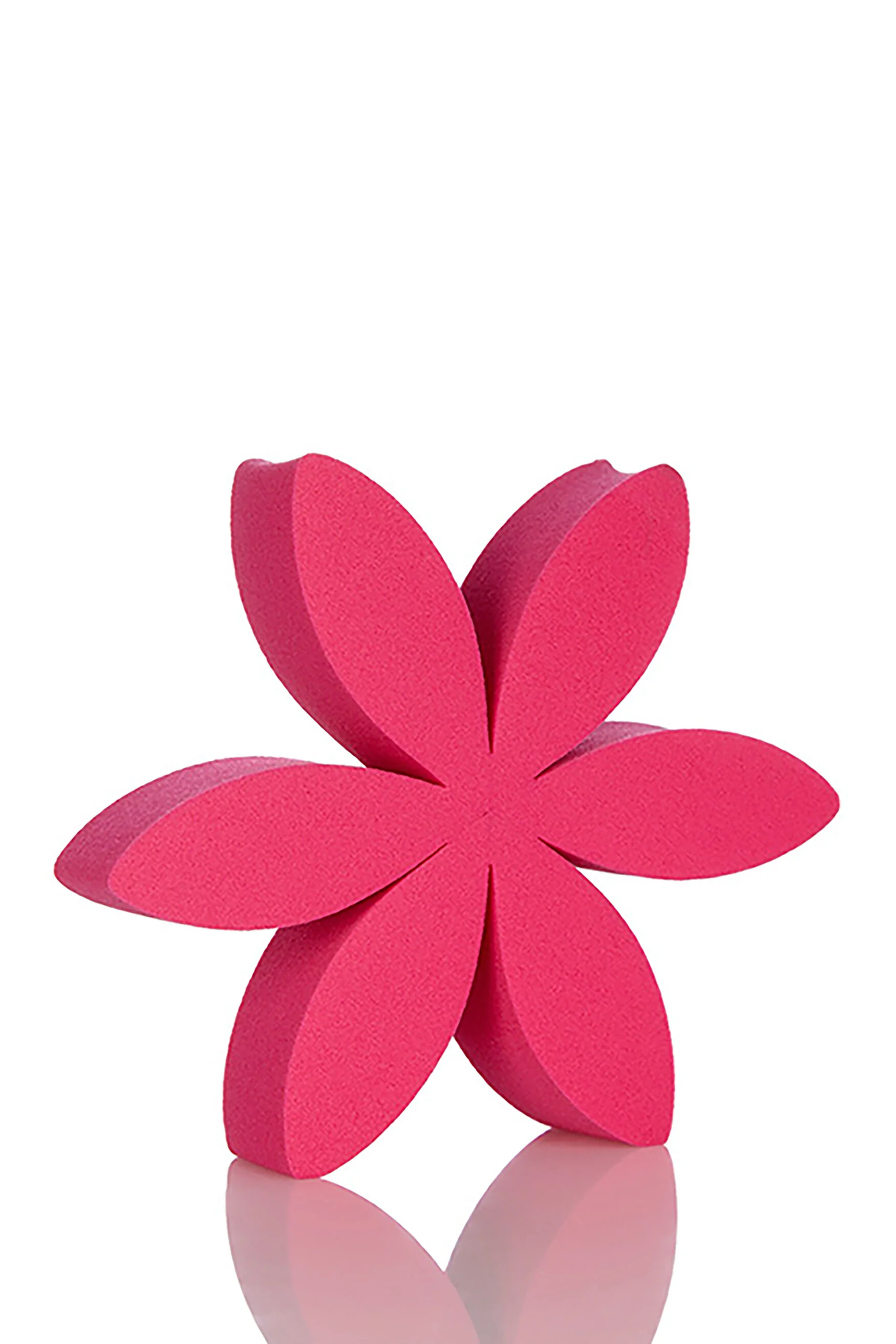 6-PIECE-FLOWER-SPONGE.jpg