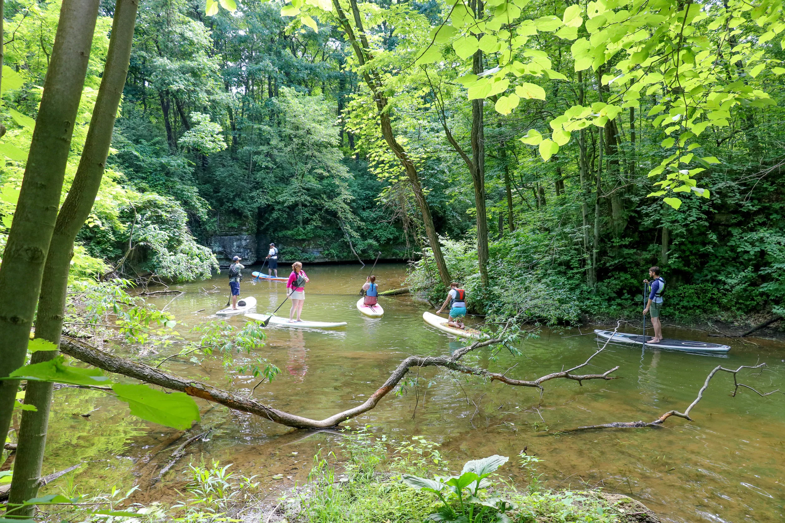Epic Hidden River Shot.jpg