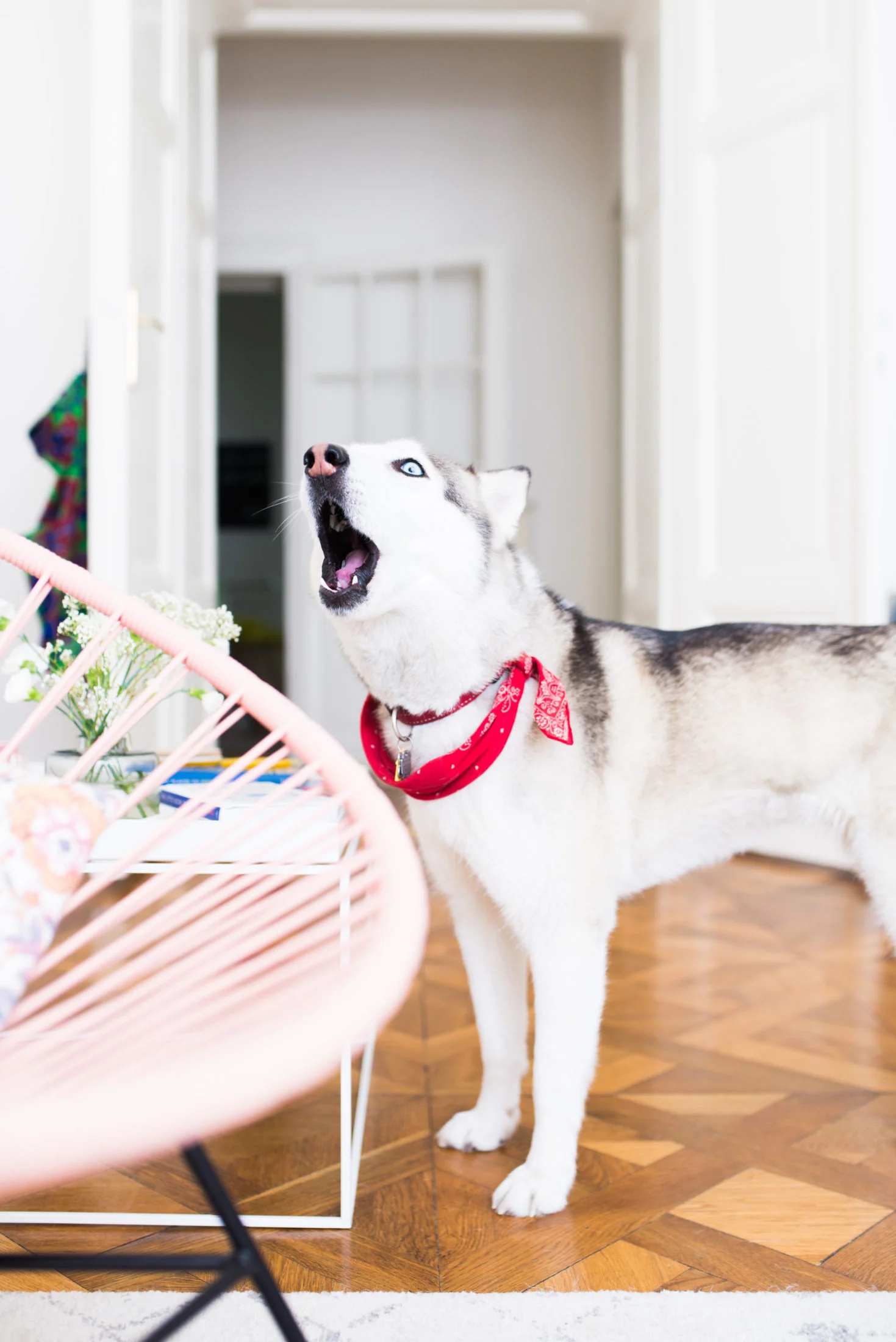Musikal-Husky-29.04-20-1469x2200.jpg