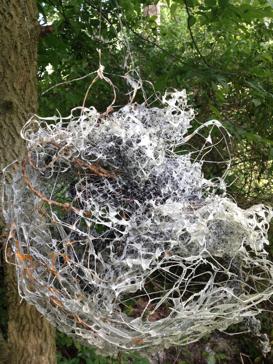 Nest 2