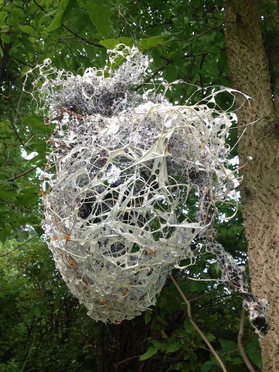 Nest 8