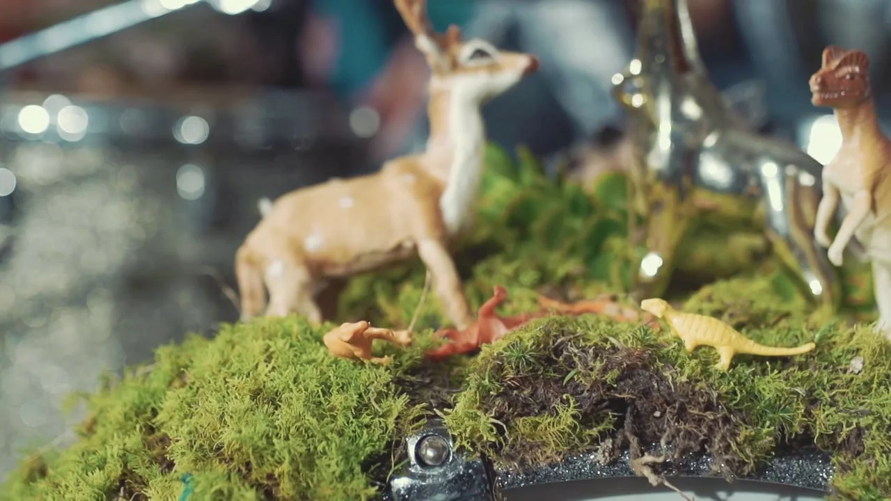 My Piranha - Washed Away