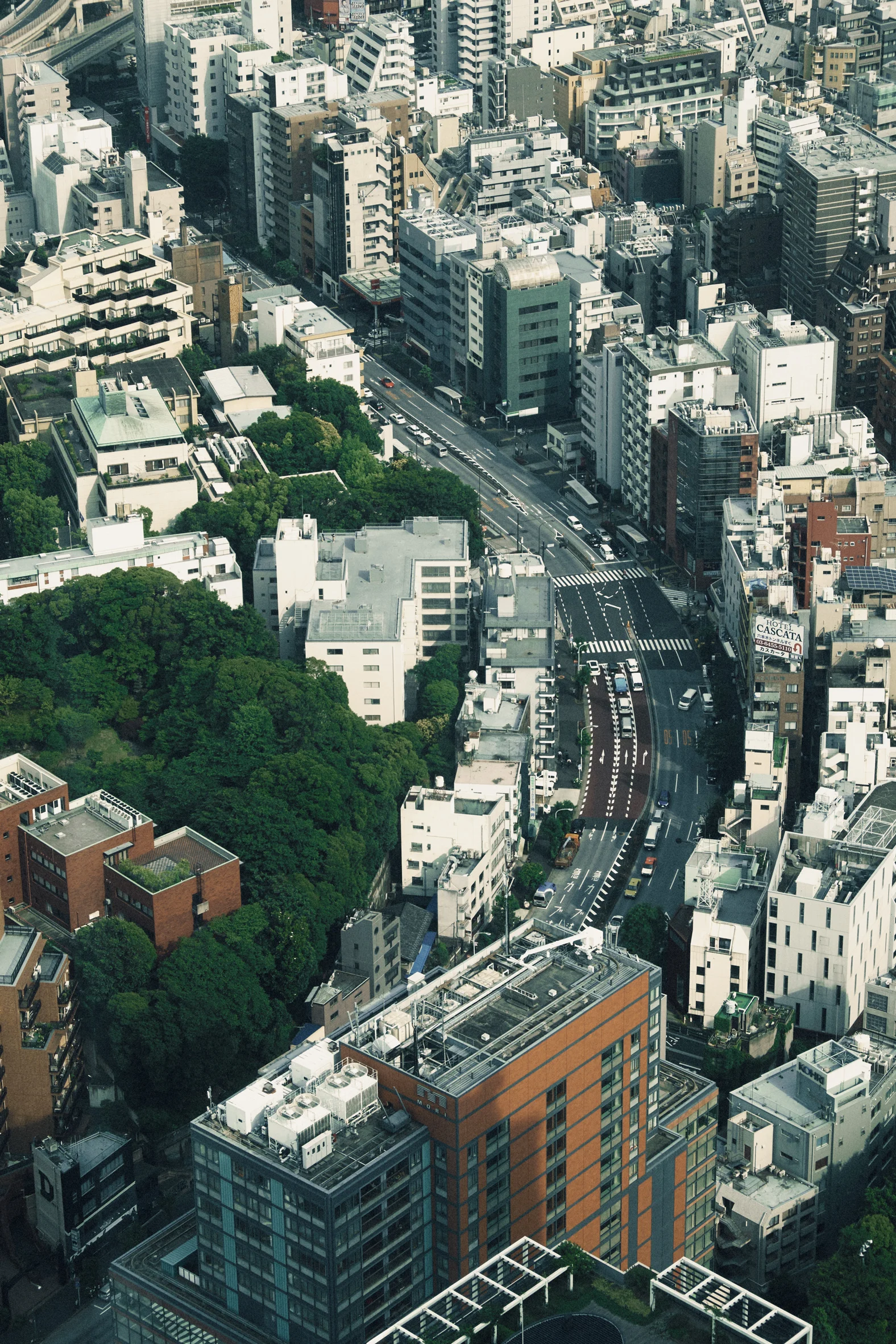 tokyo_061.jpg