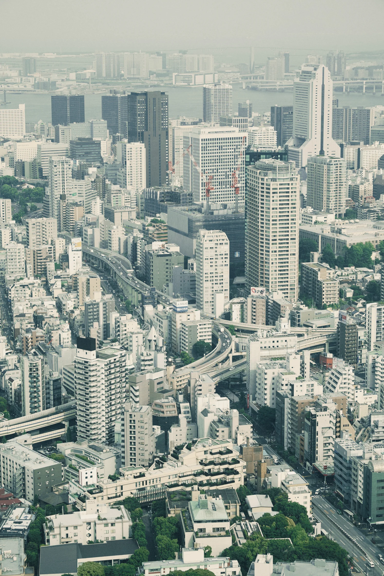 tokyo_066.jpg