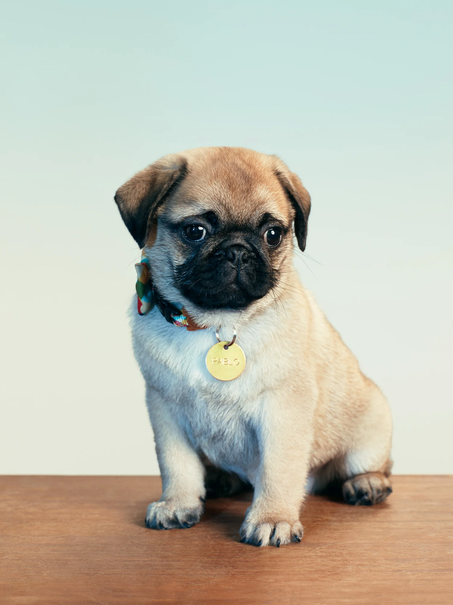 Pablo