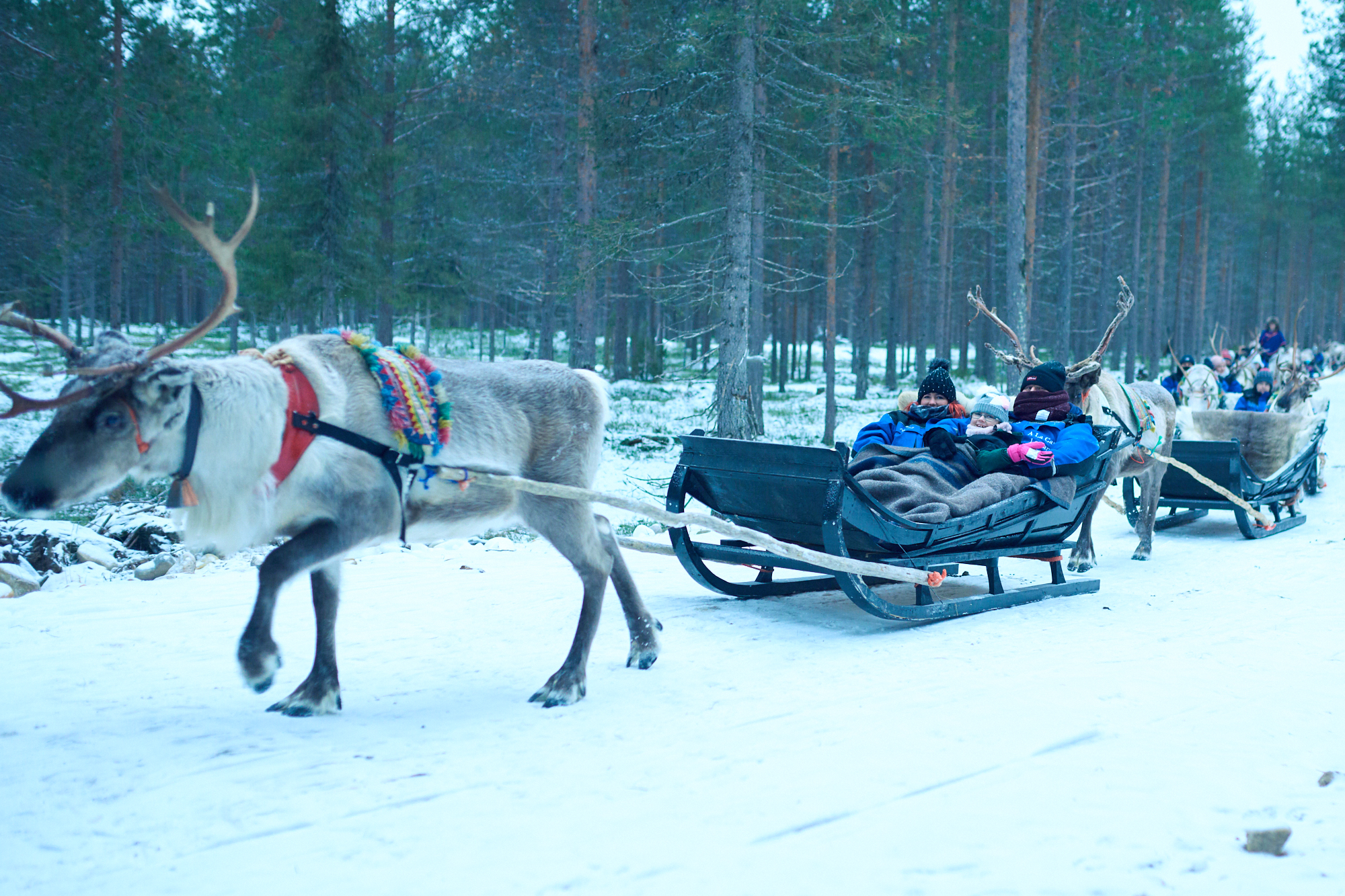 181204_STARLIGHT_DAY_2_148.jpg