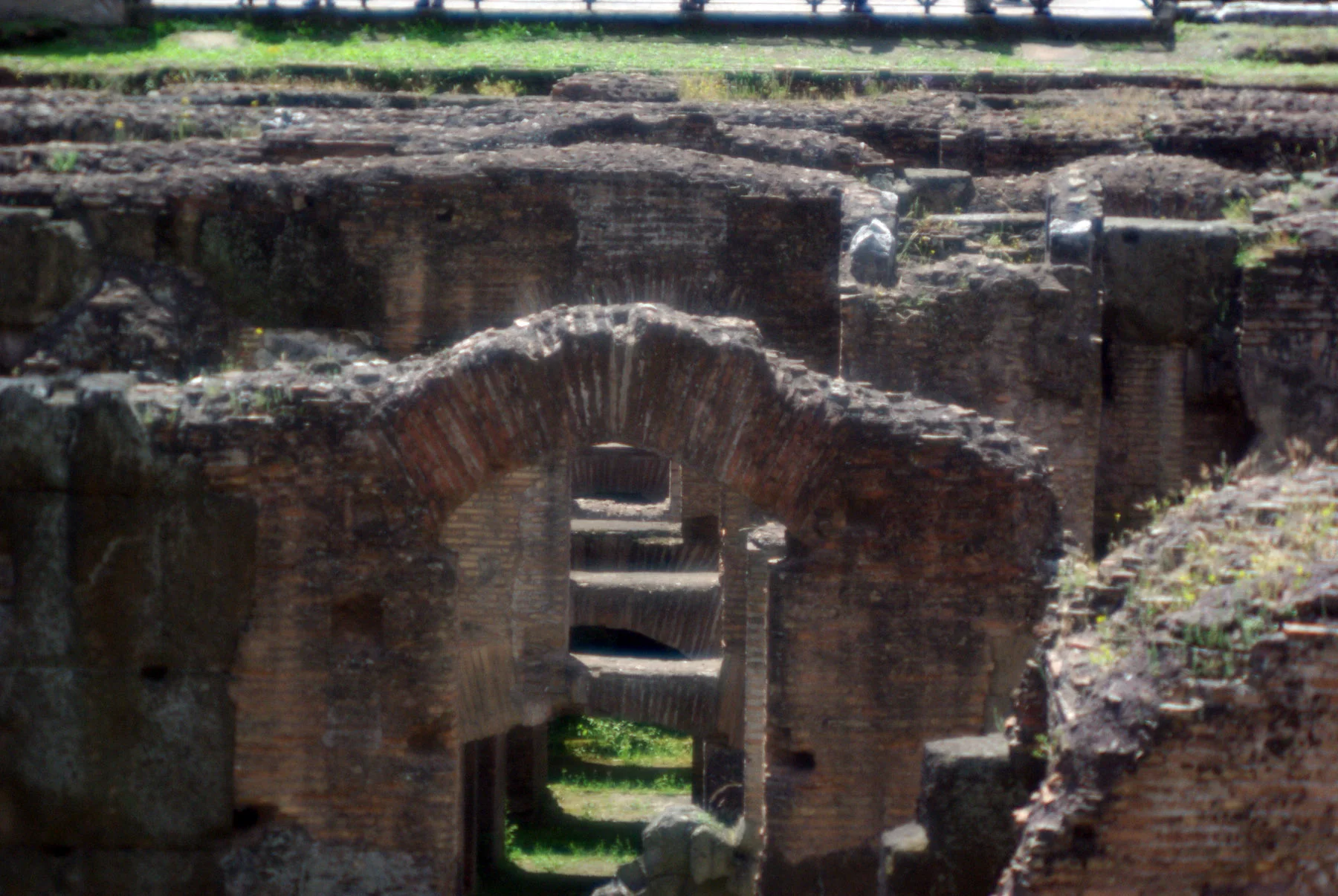 colosseofloor.jpg