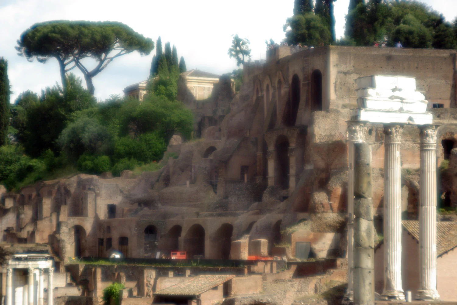 romanforum.jpg
