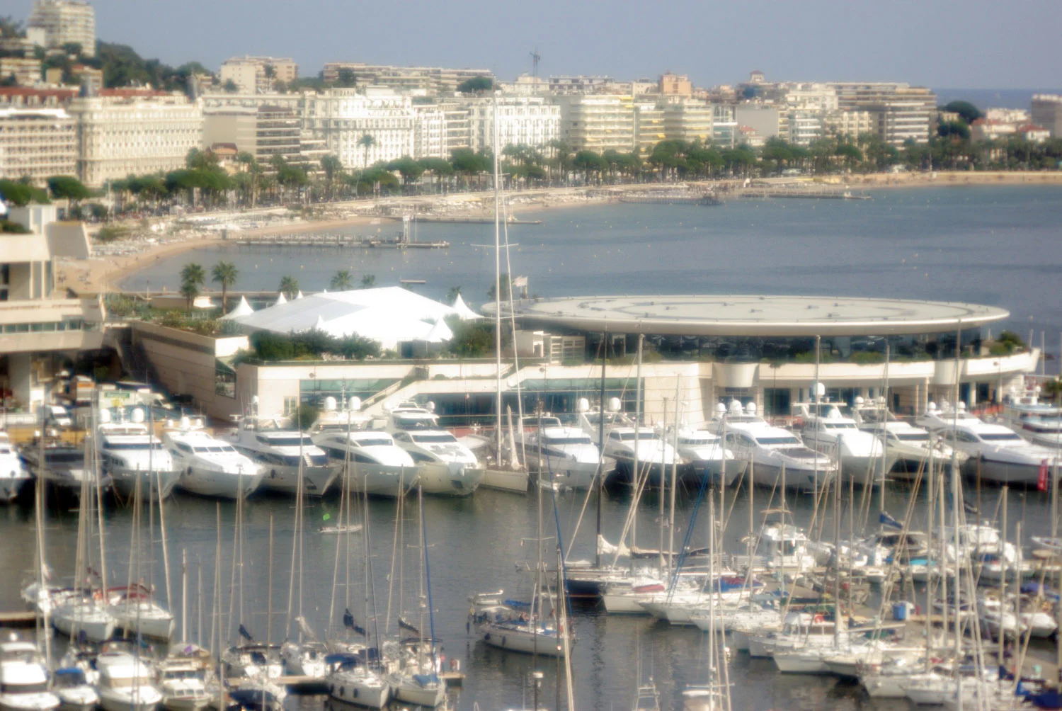 cannes.jpg