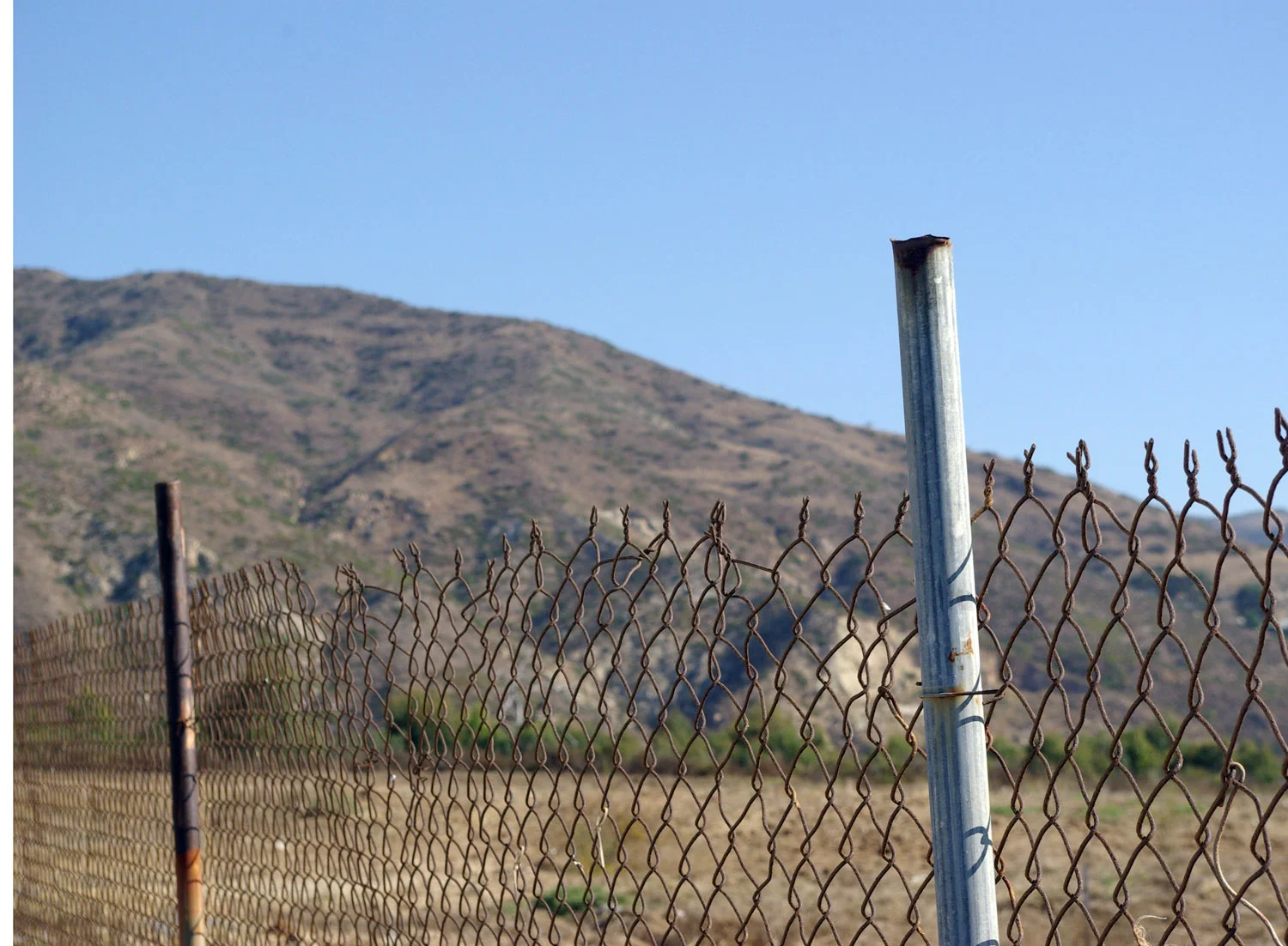 fence.jpg