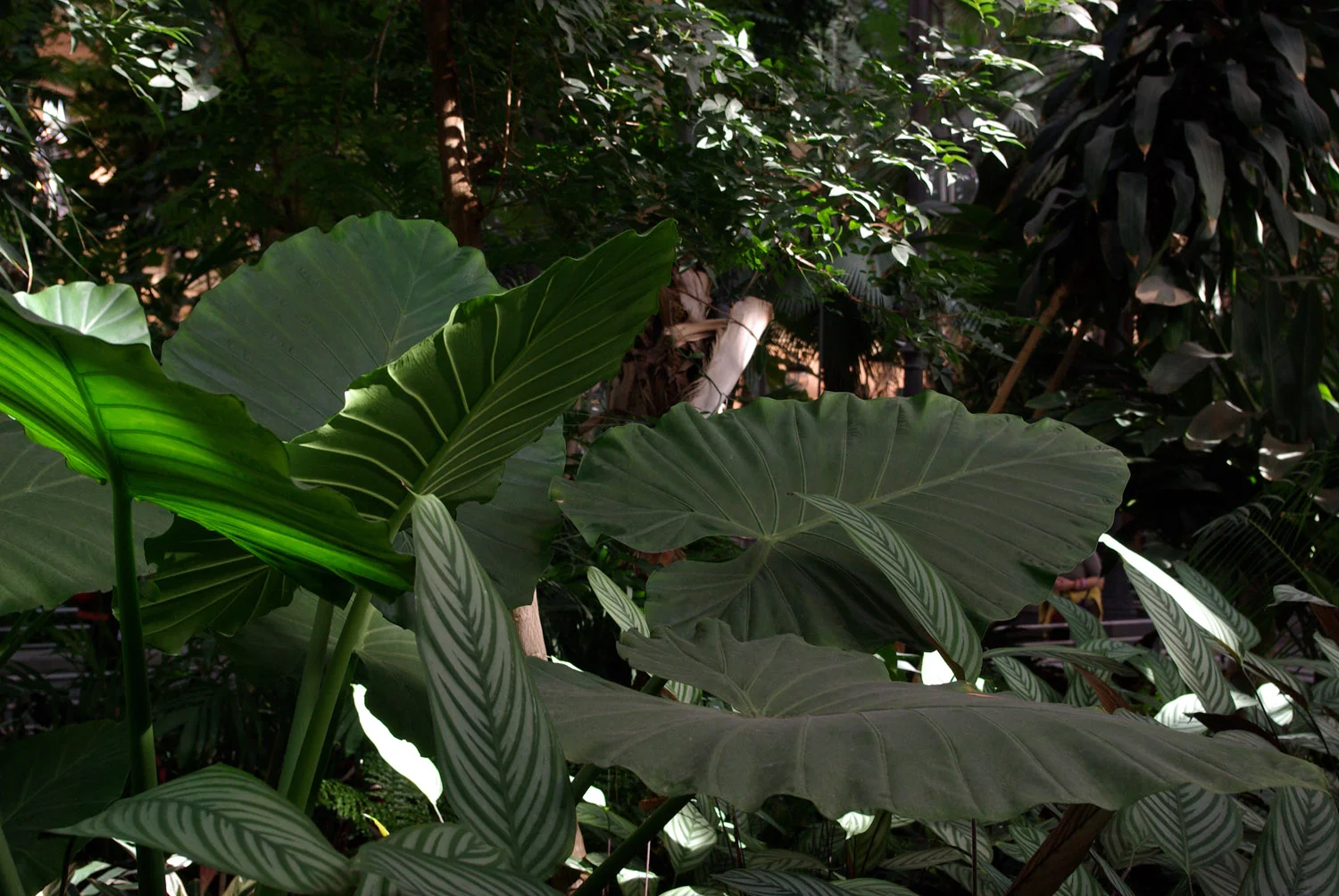 atocha.jpg