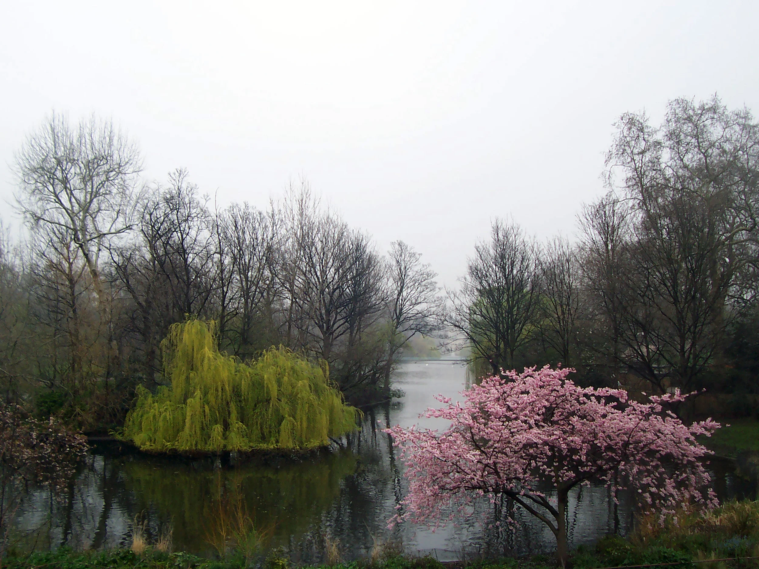 St James Park.jpg