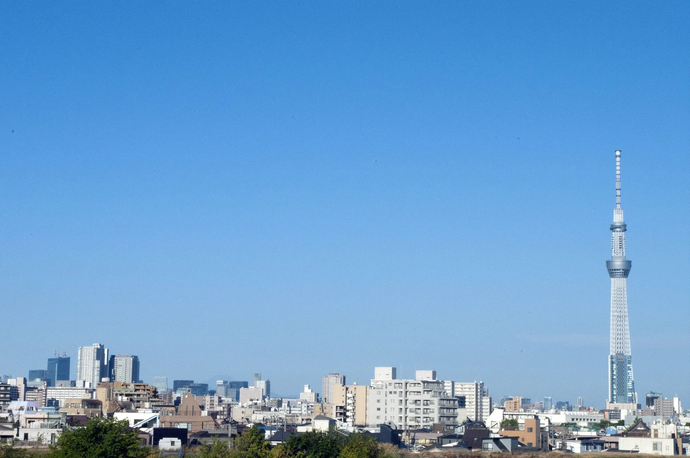 Tokyo Sky Tree.jpg