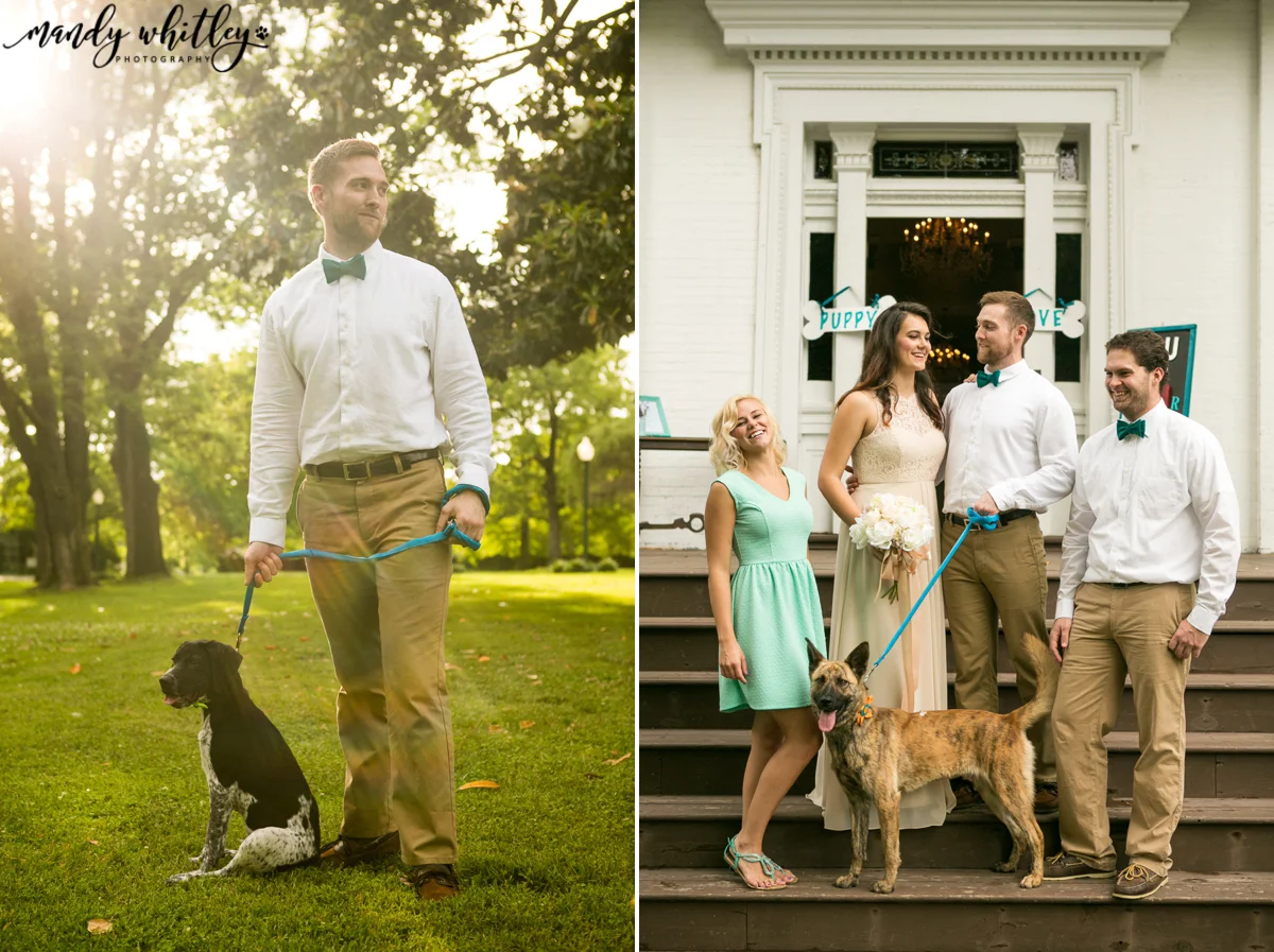 Riverwood Mansion Styled Shoot with Dogs | Mandy Whitley Photography