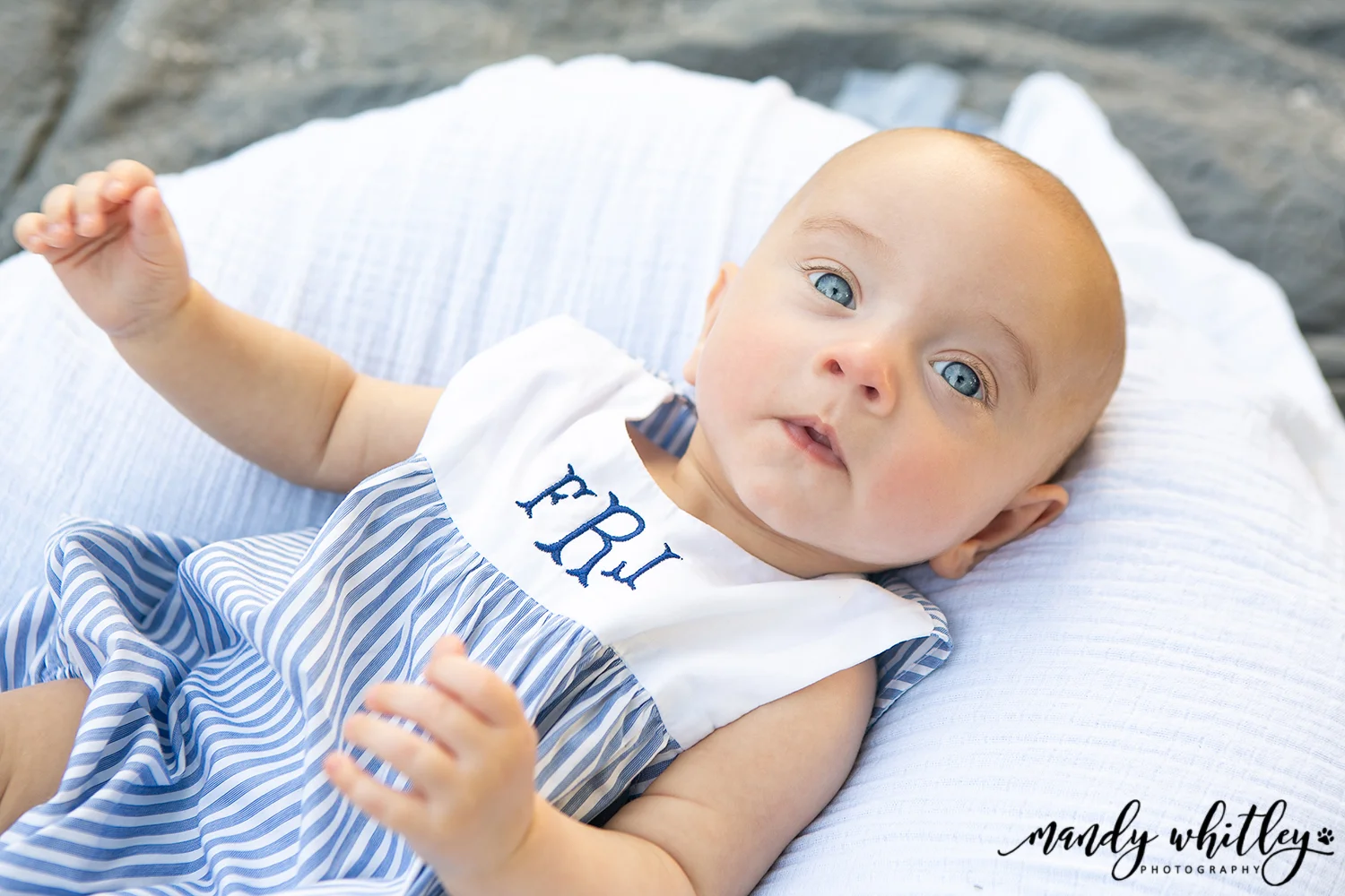 Baby and Family Photographers in Tennessee