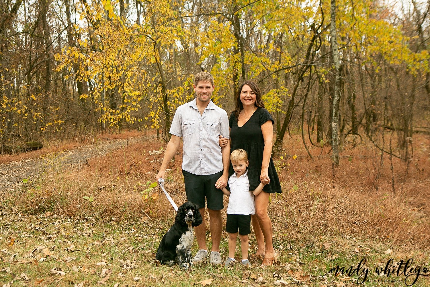 family in fall with english springer spanial