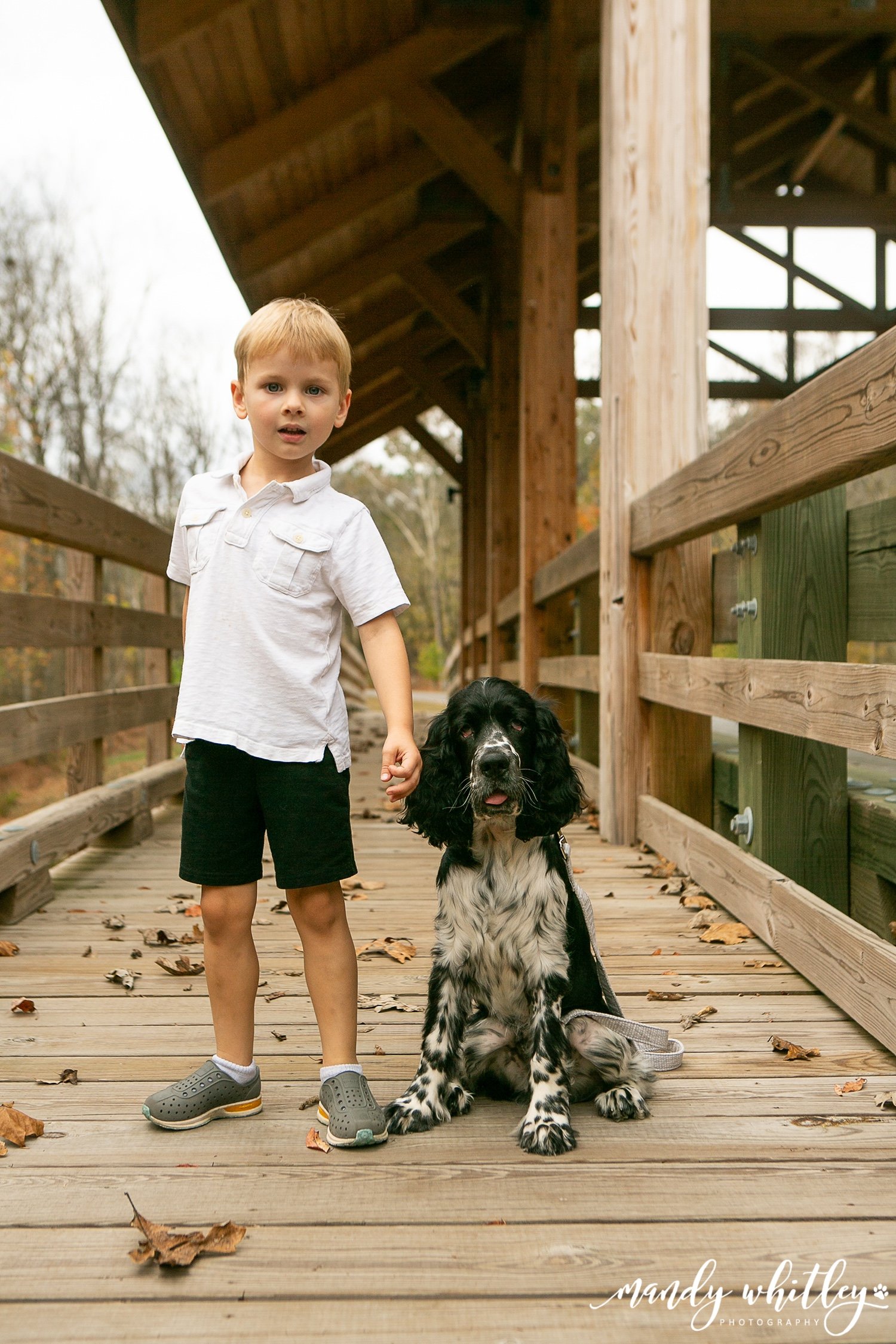 boy with english springer spaniel in fall