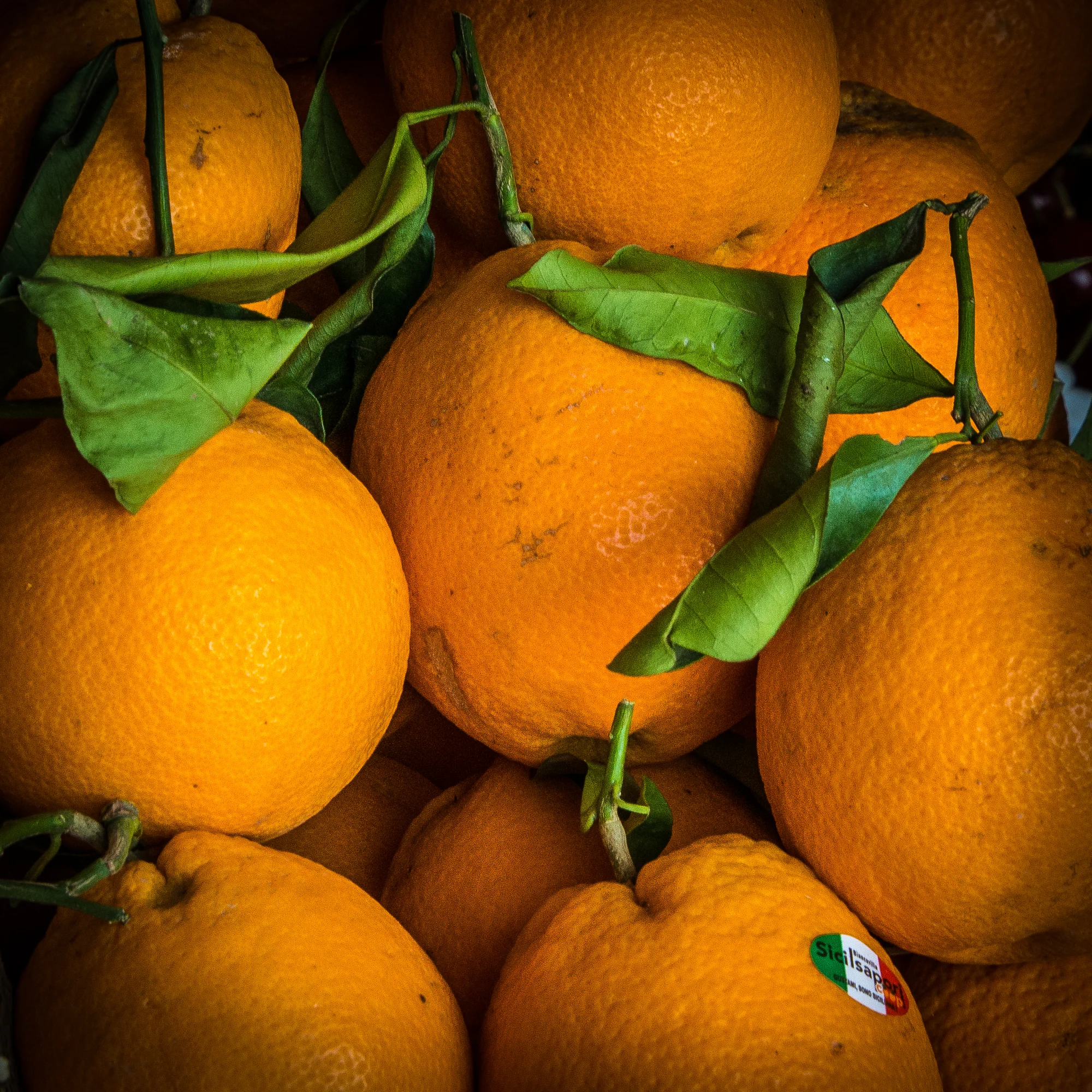 Italy-6023.jpg