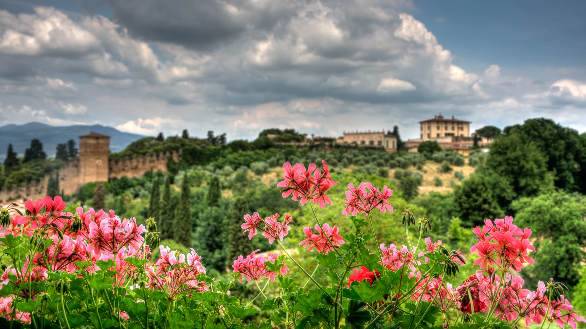 Italy-2007.jpg
