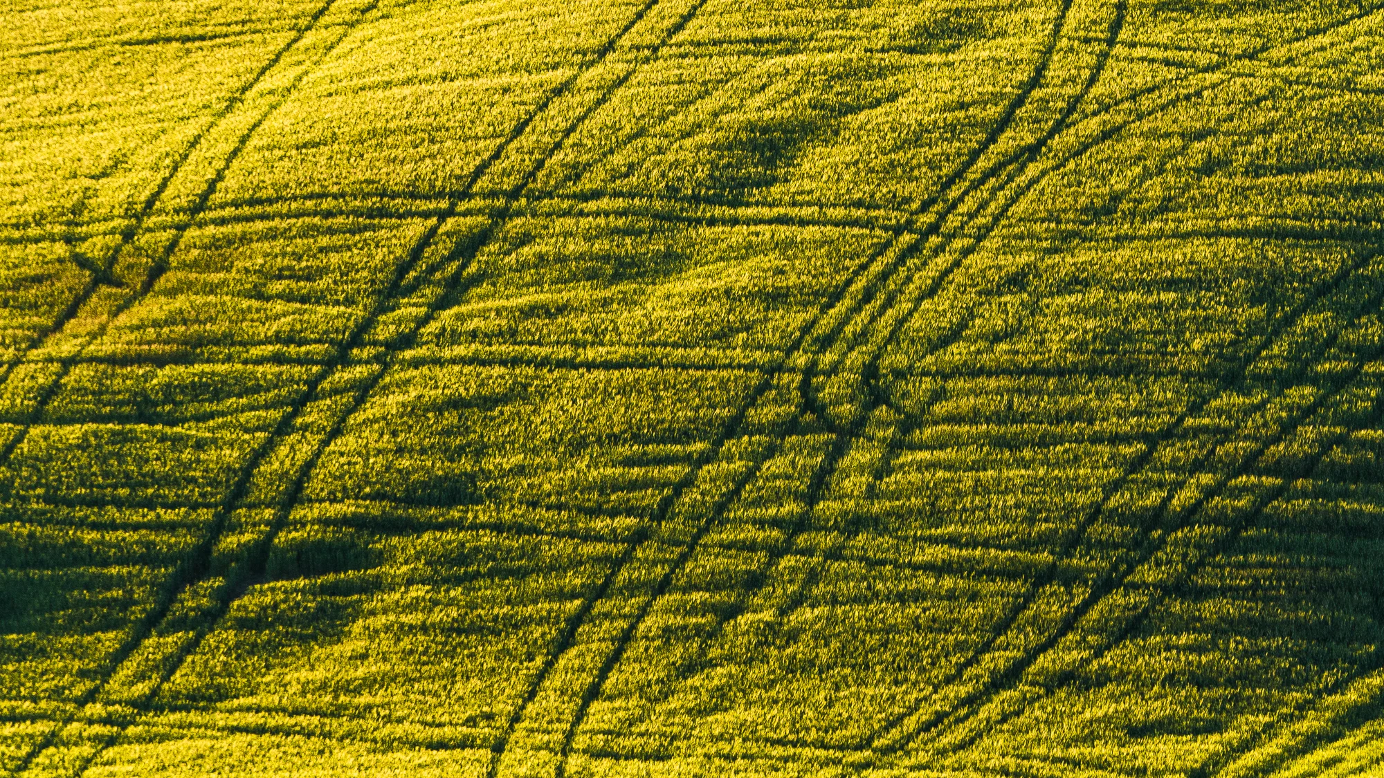 Italy-2012.jpg