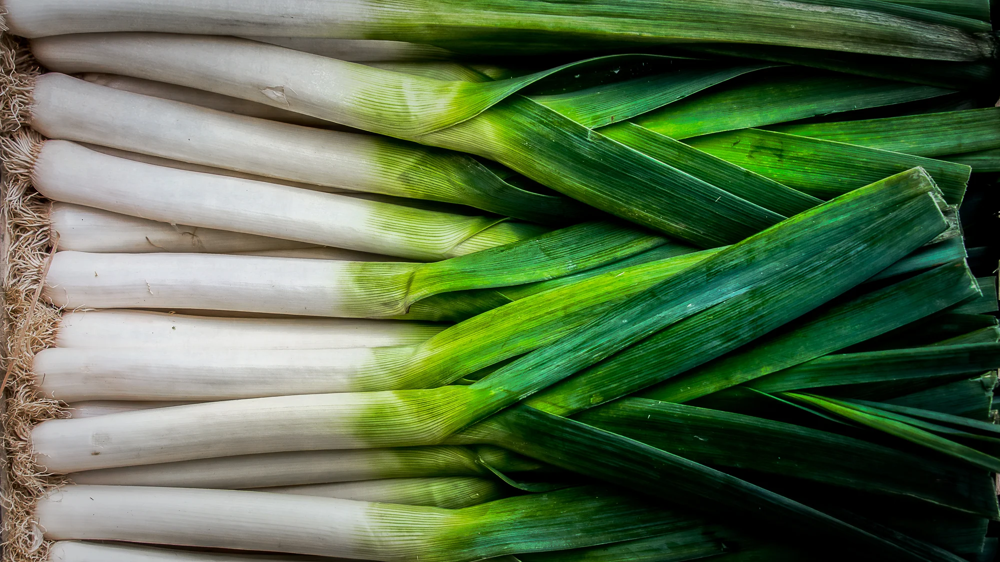 Leeks for sale in the Rialto Market of Venice Italy