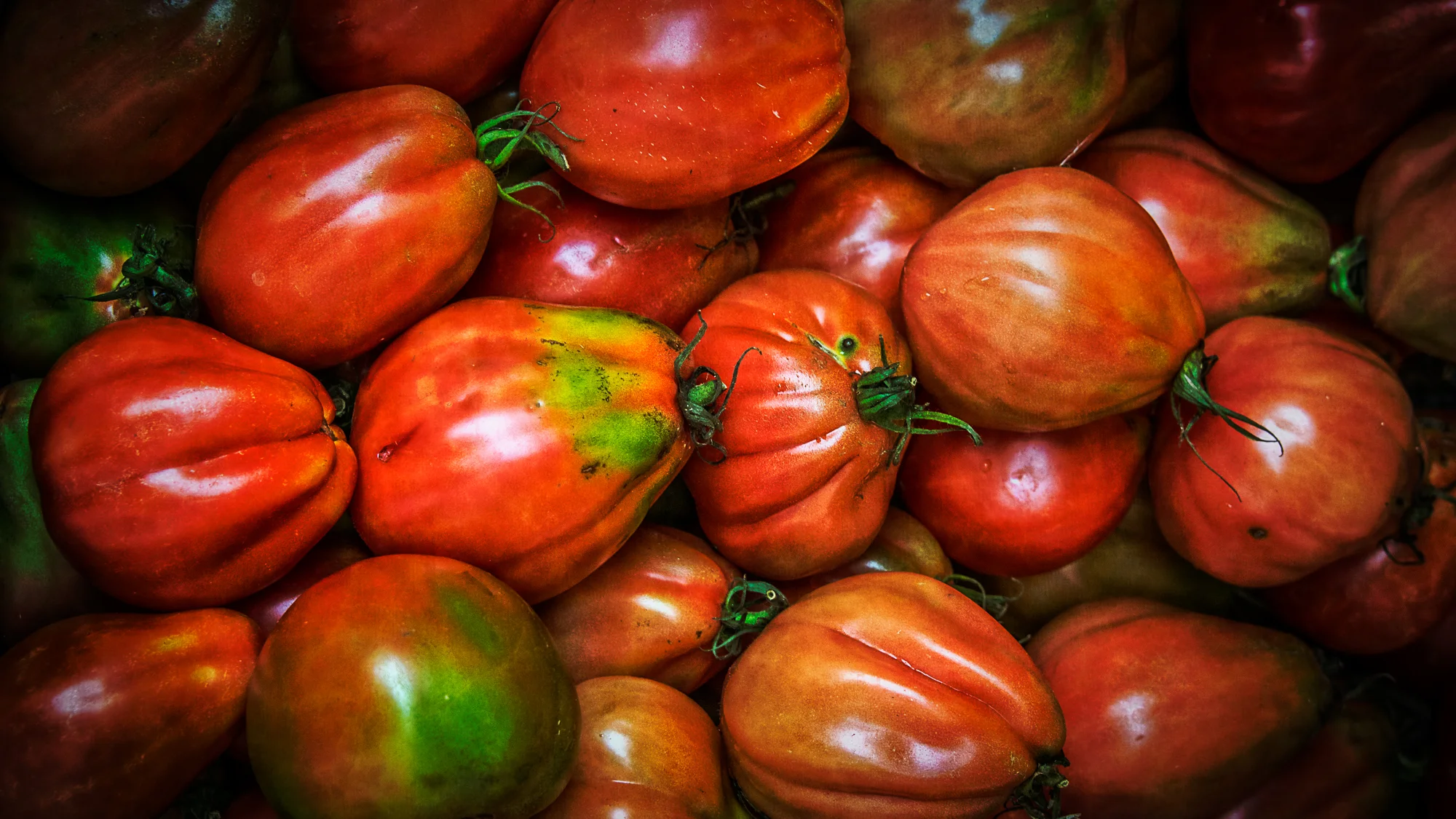 Photo of tomatoes in the Rialto Market of Venice, Italy